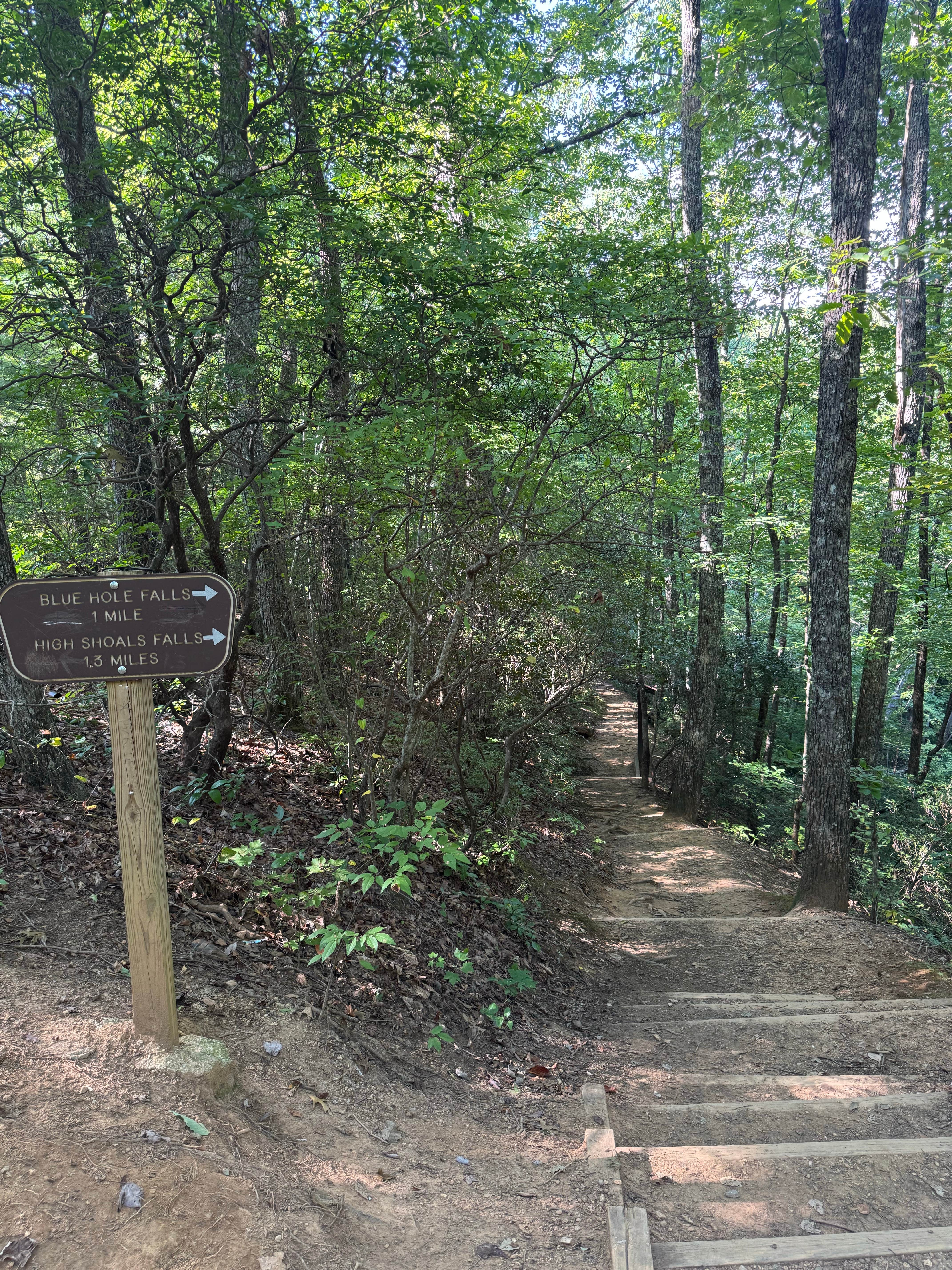 Camper-submitted photo at High Shoals Falls Trail Dispersed near Toccoa, GA