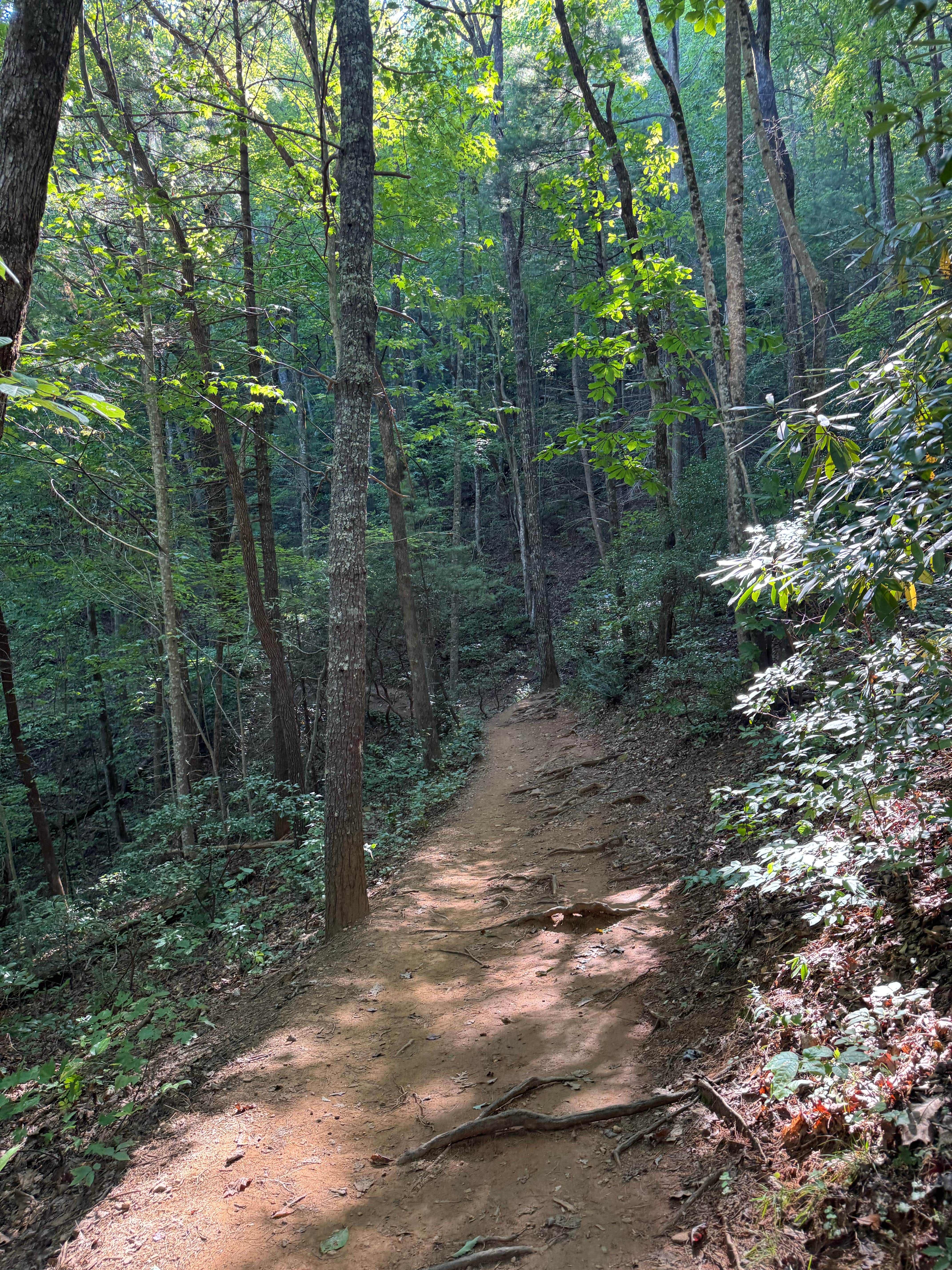 Camper-submitted photo at High Shoals Falls Trail Dispersed near Toccoa, GA