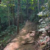 Review photo of High Shoals Falls Trail Dispersed by Noah W., September 17, 2026