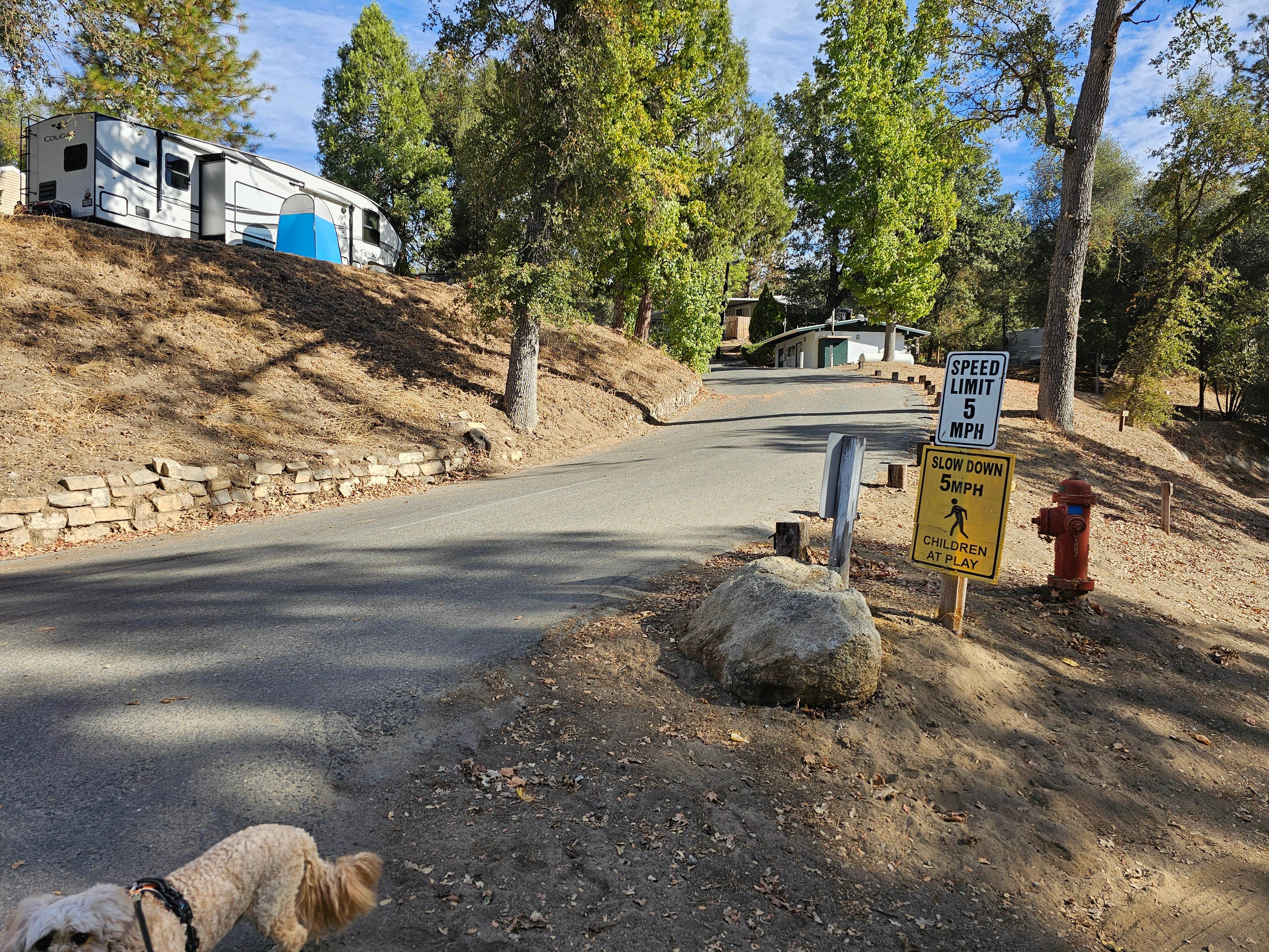 Dawn S.'s photo of camping with pets at High Sierra RV Park near Wishon, CA