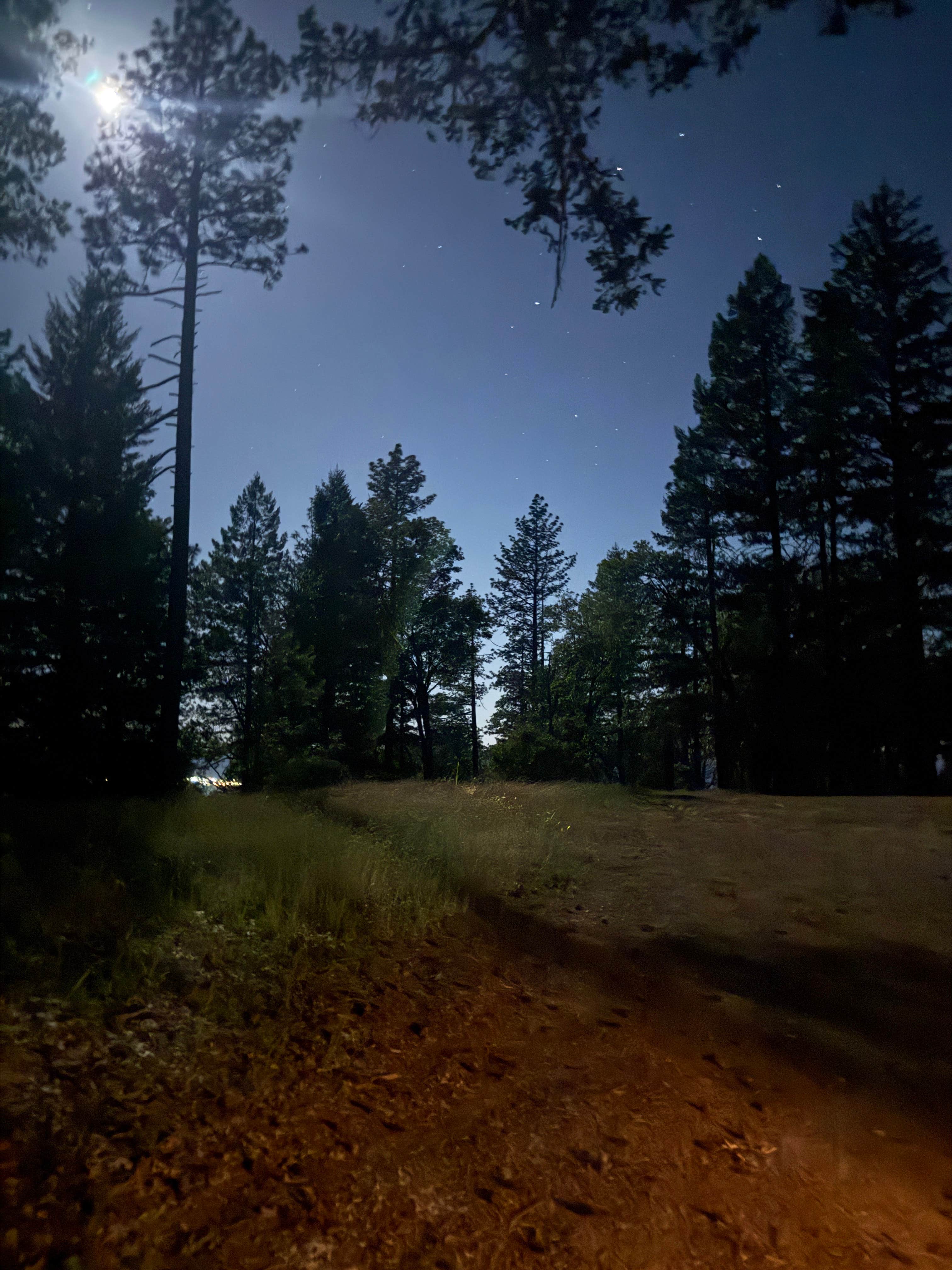 Camper-submitted photo at High Valley Ridge near The Sea Ranch, CA