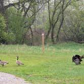 Review photo of Highland State Recreation Area — Highland Recreation Area by Brett B., May 9, 2025
