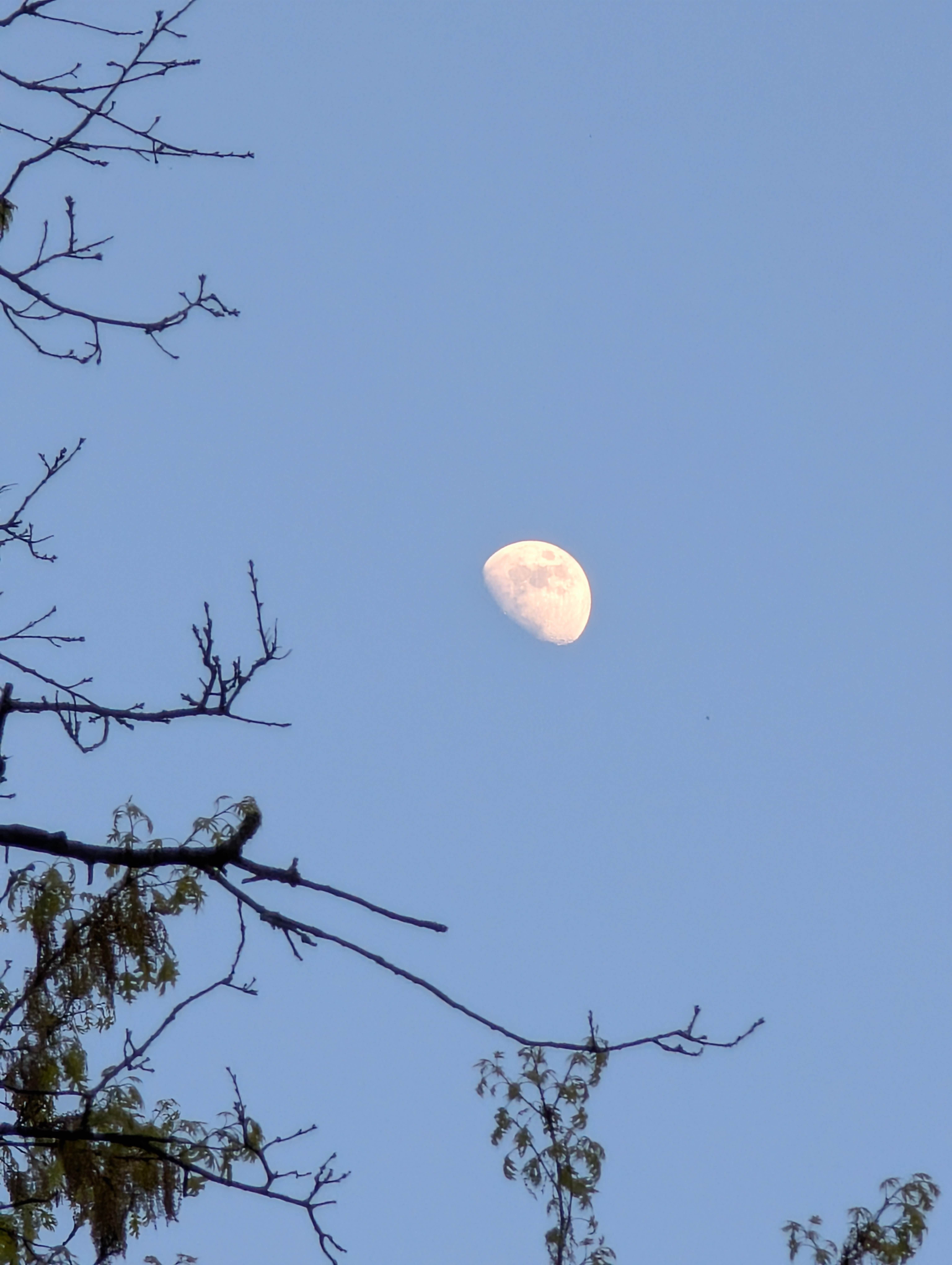 Camper-submitted photo at Highland State Recreation Area — Highland Recreation Area near Dearborn, MI