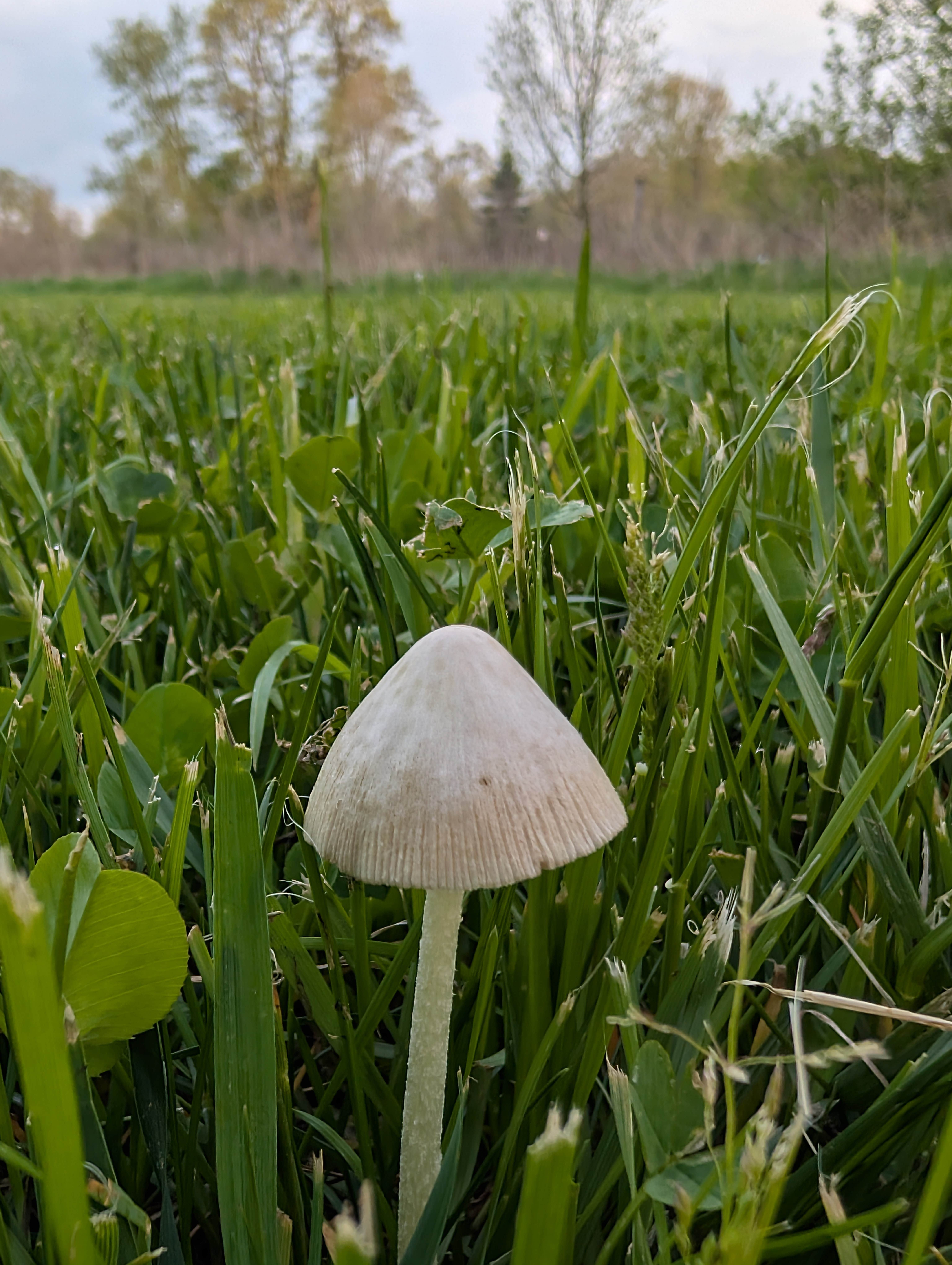 Camper-submitted photo at Highland State Recreation Area — Highland Recreation Area near Dearborn, MI