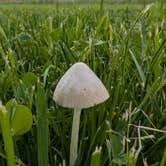 Review photo of Highland State Recreation Area — Highland Recreation Area by Brett B., May 9, 2025