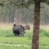 Review photo of Highland State Recreation Area — Highland Recreation Area by Brett B., May 9, 2025