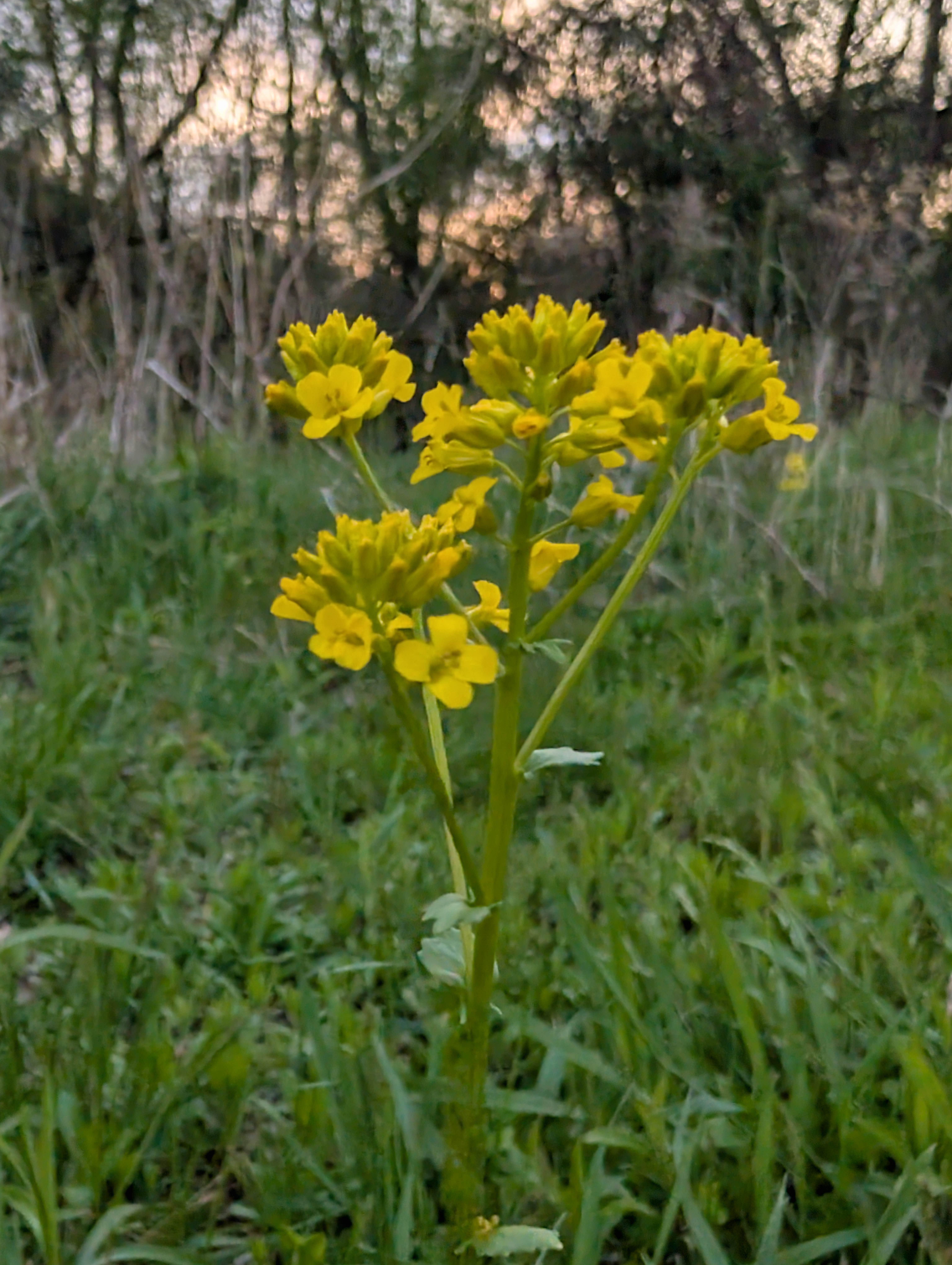 Camper-submitted photo at Highland State Recreation Area — Highland Recreation Area near Dearborn, MI