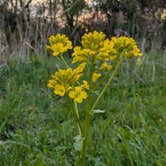 Review photo of Highland State Recreation Area — Highland Recreation Area by Brett B., May 9, 2025