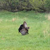 Review photo of Highland State Recreation Area — Highland Recreation Area by Brett B., May 9, 2025