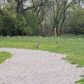 Review photo of Highland State Recreation Area — Highland Recreation Area by Brett B., May 9, 2025