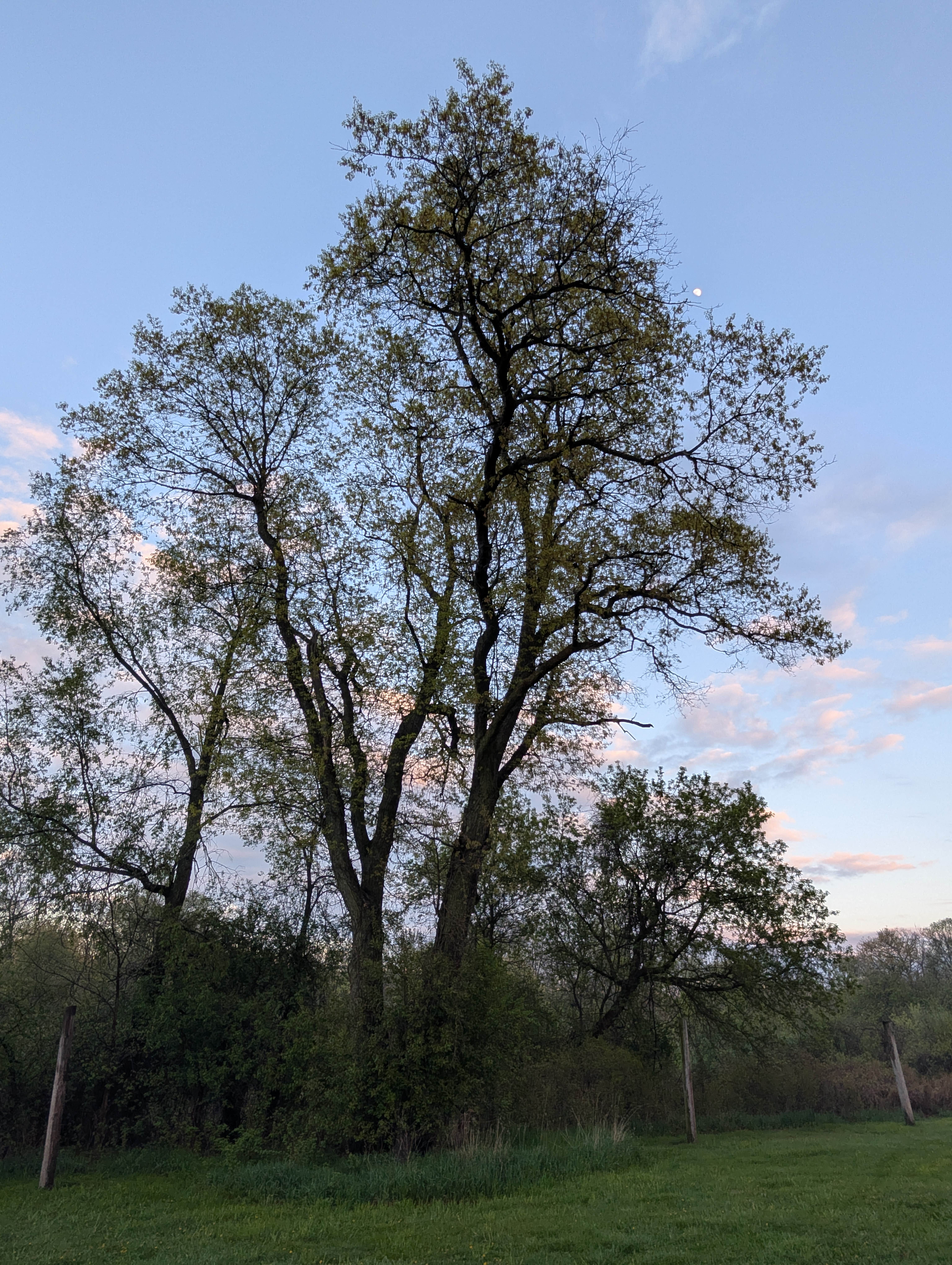 Camper-submitted photo at Highland State Recreation Area — Highland Recreation Area near Dearborn, MI