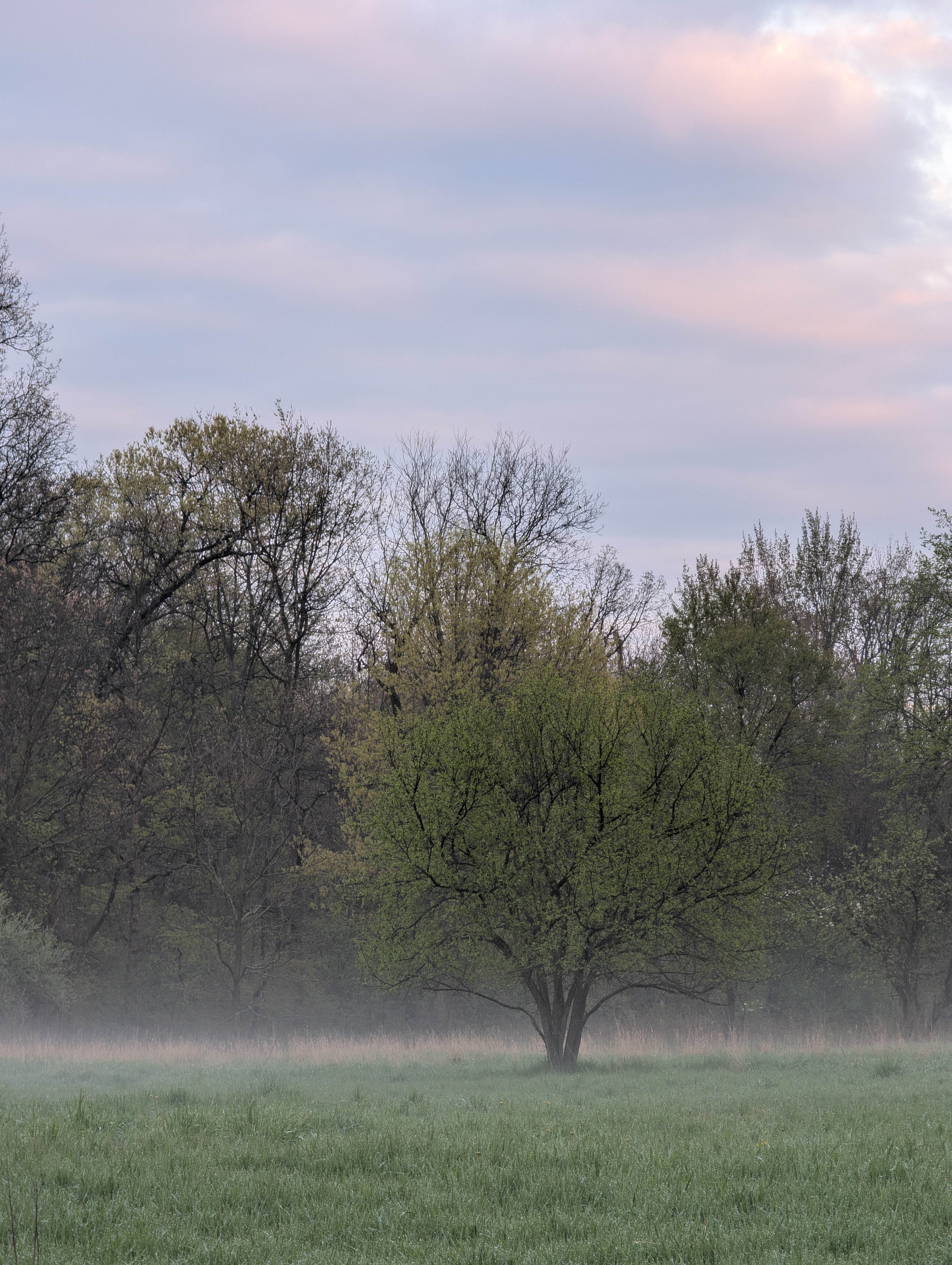 Camper-submitted photo at Highland State Recreation Area — Highland Recreation Area near Dearborn, MI