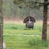 Review photo of Highland State Recreation Area — Highland Recreation Area by Brett B., May 9, 2025