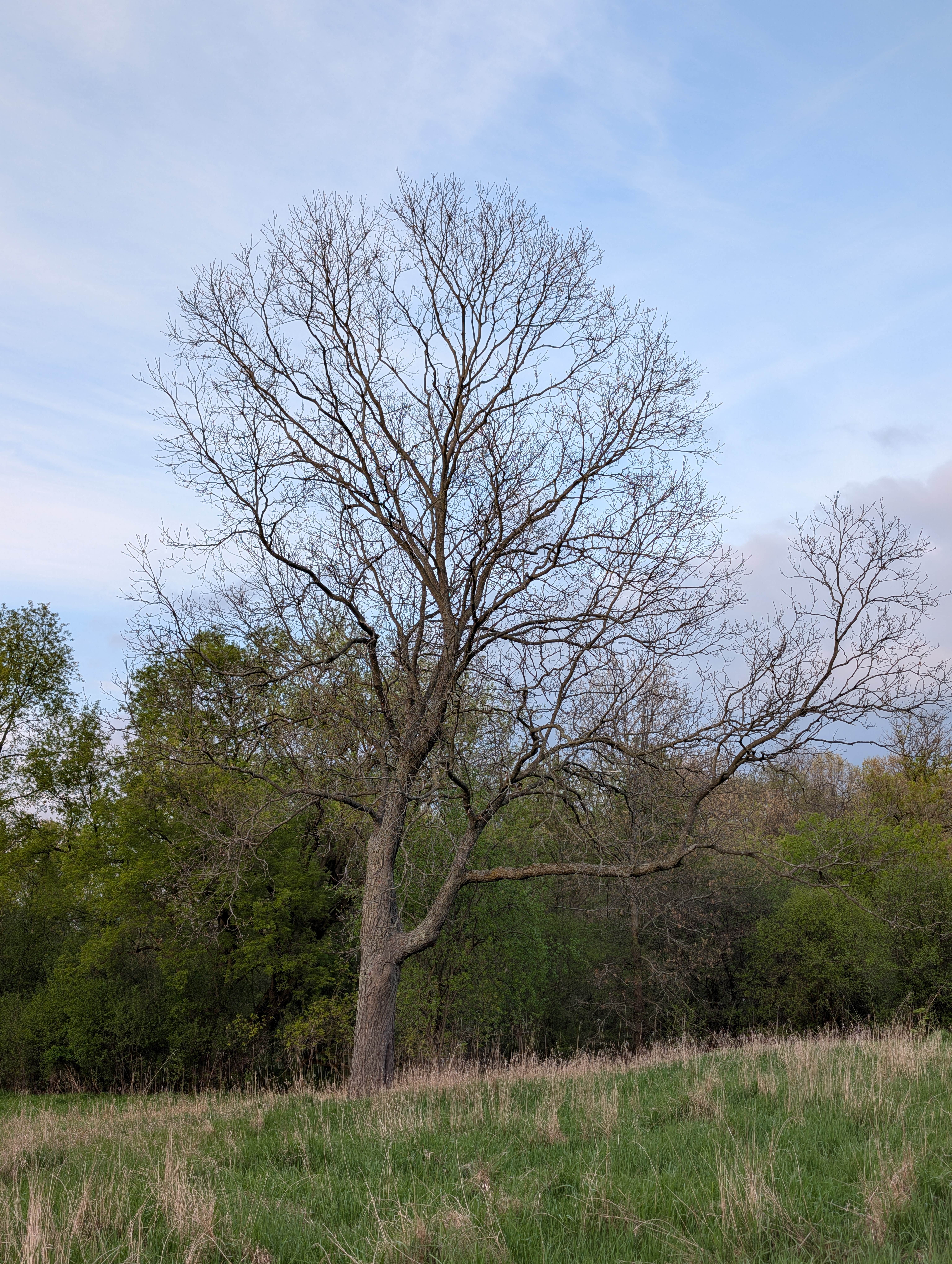 Camper submitted image from Highland State Recreation Area — Highland Recreation Area - 1