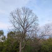 Review photo of Highland State Recreation Area — Highland Recreation Area by Brett B., May 9, 2025