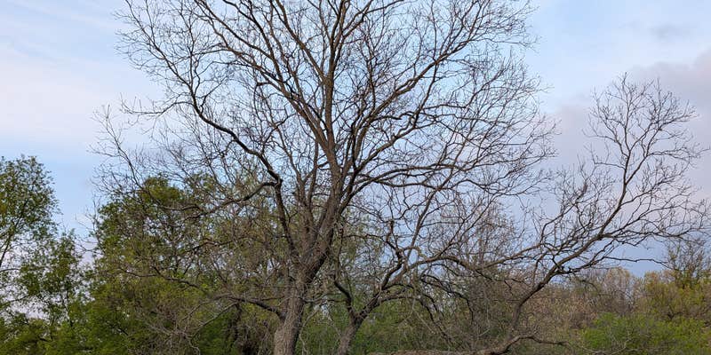 Camper submitted image from Highland State Recreation Area — Highland Recreation Area