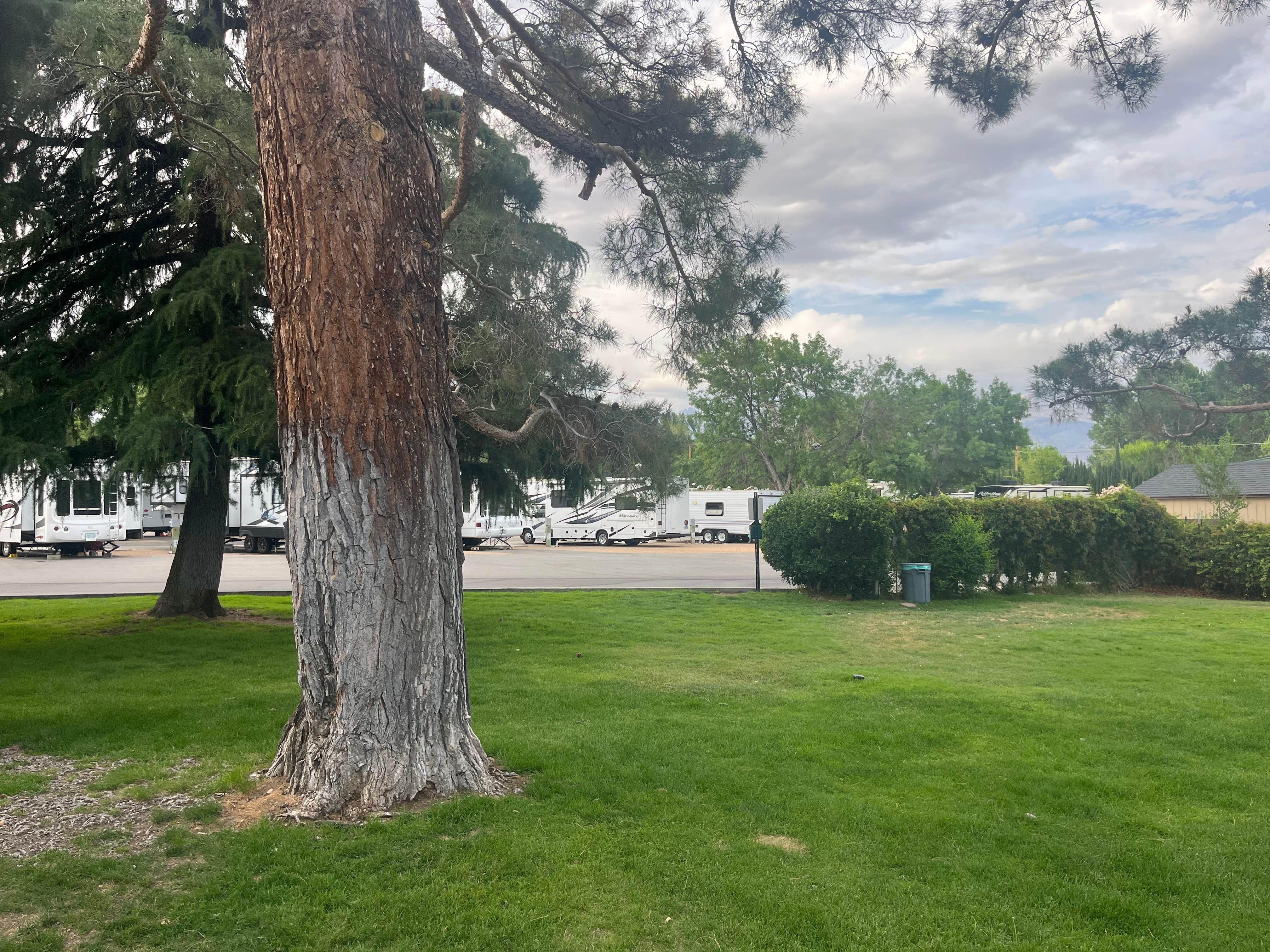 Camper submitted image from Highlands RV Park - 1