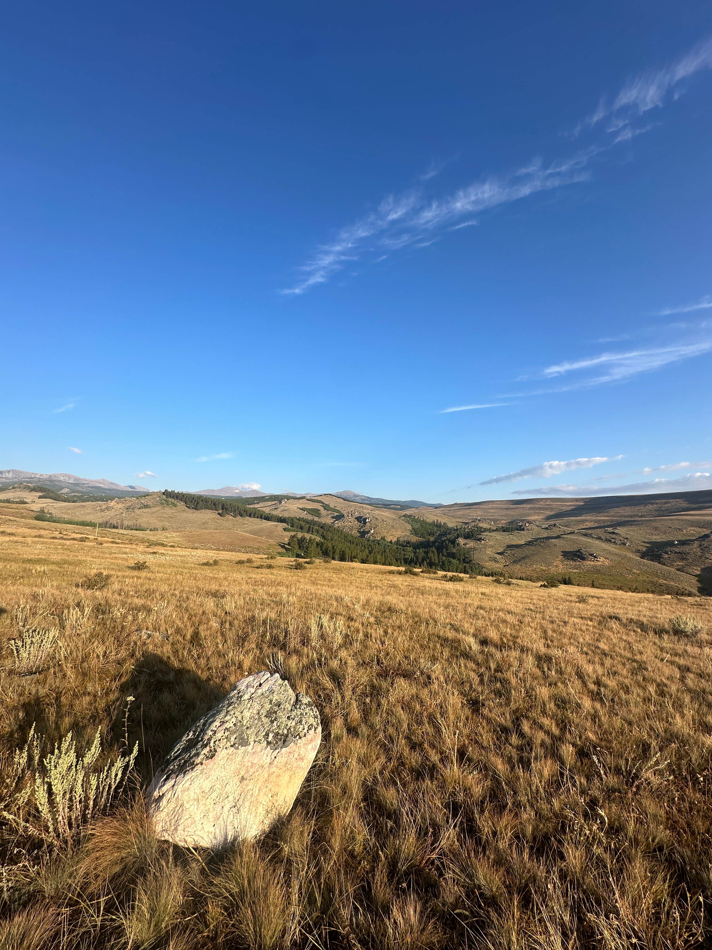 Camping near The Lake Stop: Highway 16 Dispersed Site, Saddlestring, Wyoming