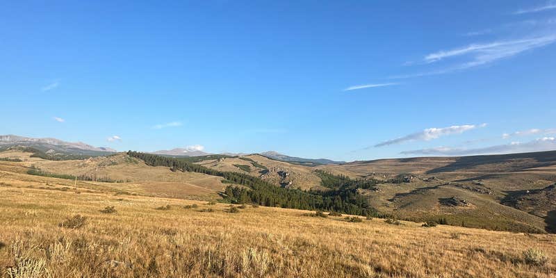 Camper submitted image from Highway 16 Dispersed Site