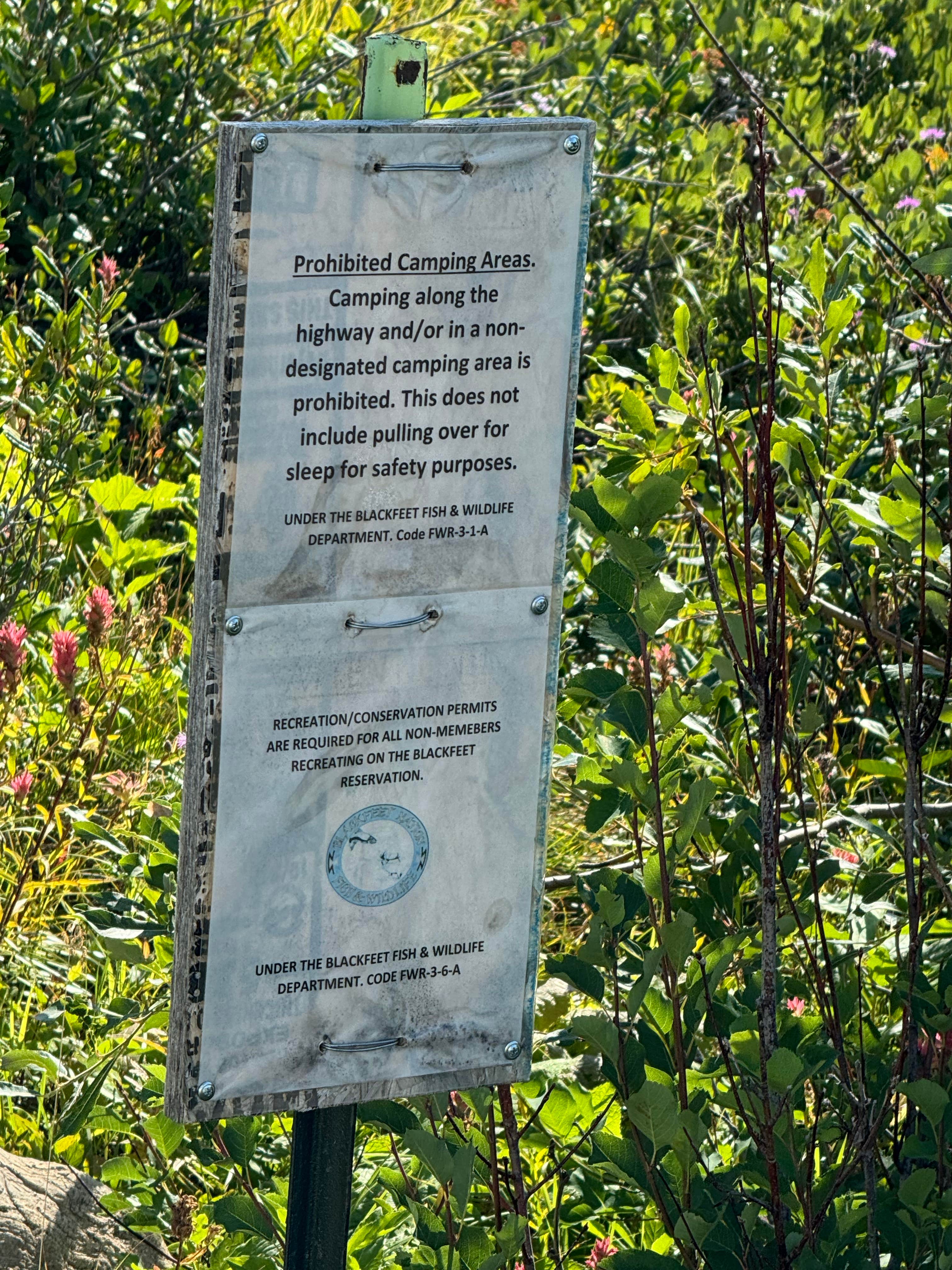 Camper-submitted photo at Highway 89 East Glacier Dispersed near Heart Butte, MT