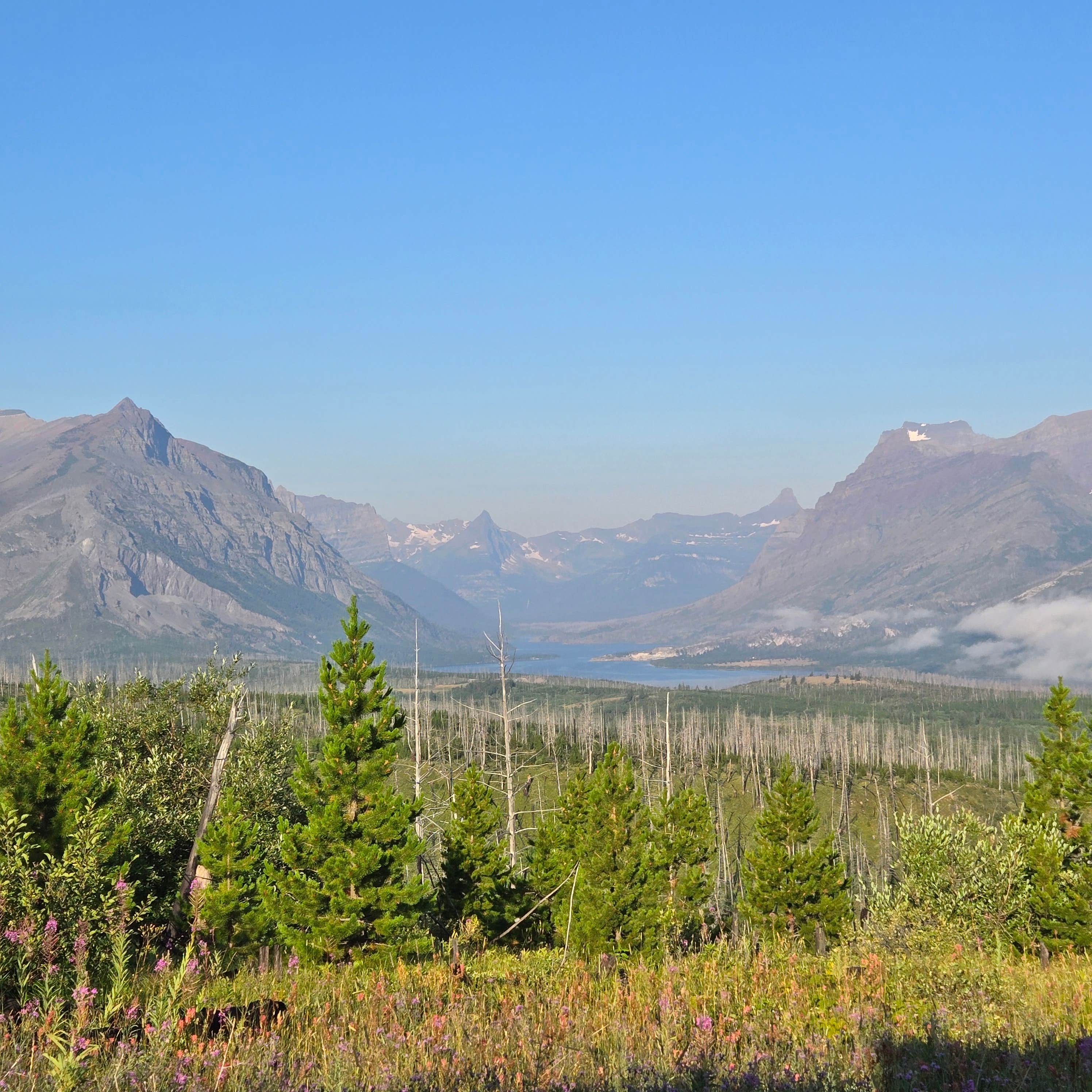 Camper-submitted photo at Highway 89 East Glacier Dispersed near Heart Butte, MT