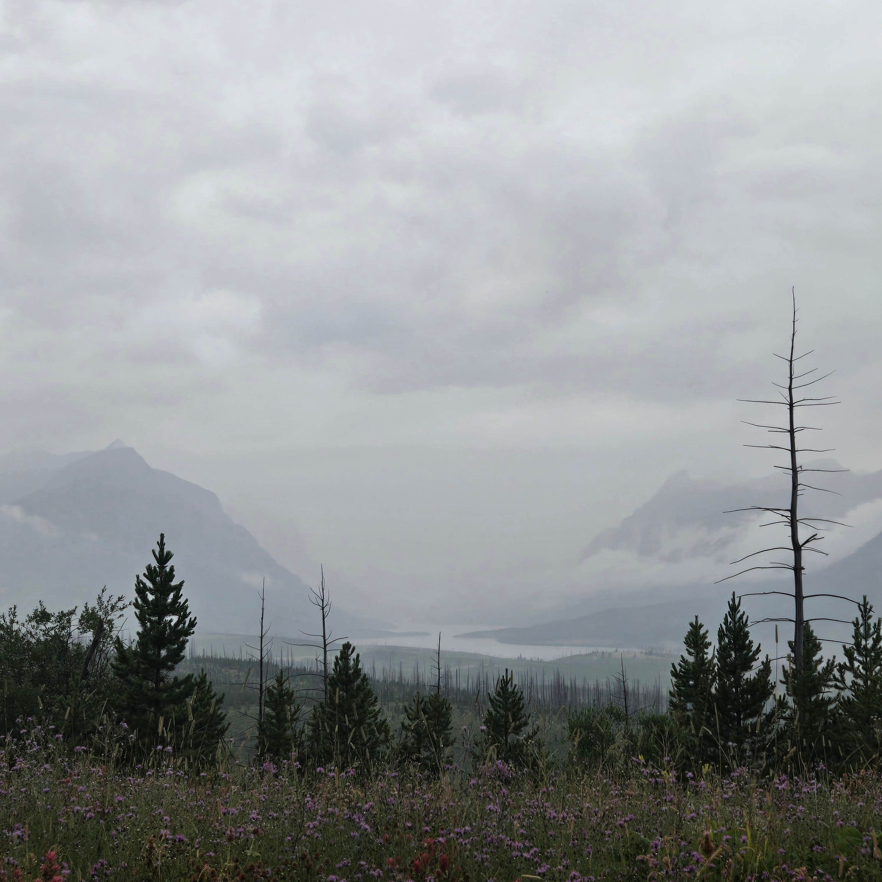 Camper submitted image from Highway 89 East Glacier Dispersed - 1