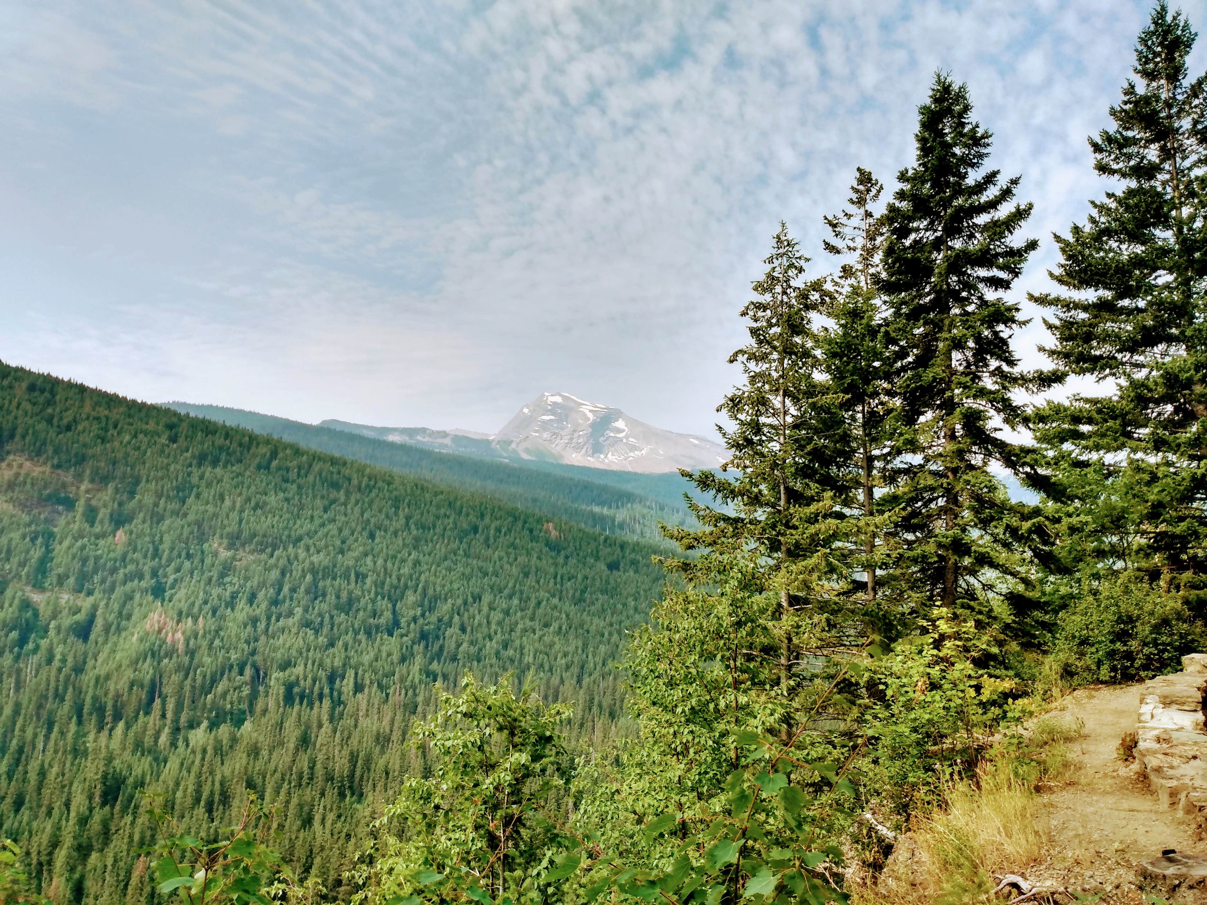 Camping near East Side Glacier Park: Highway 89 East Glacier Dispersed, Siyeh Bend, Montana