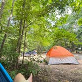 Review photo of Hildebrandt Campground — Warren Dunes State Park by Aaron T., August 4, 2026