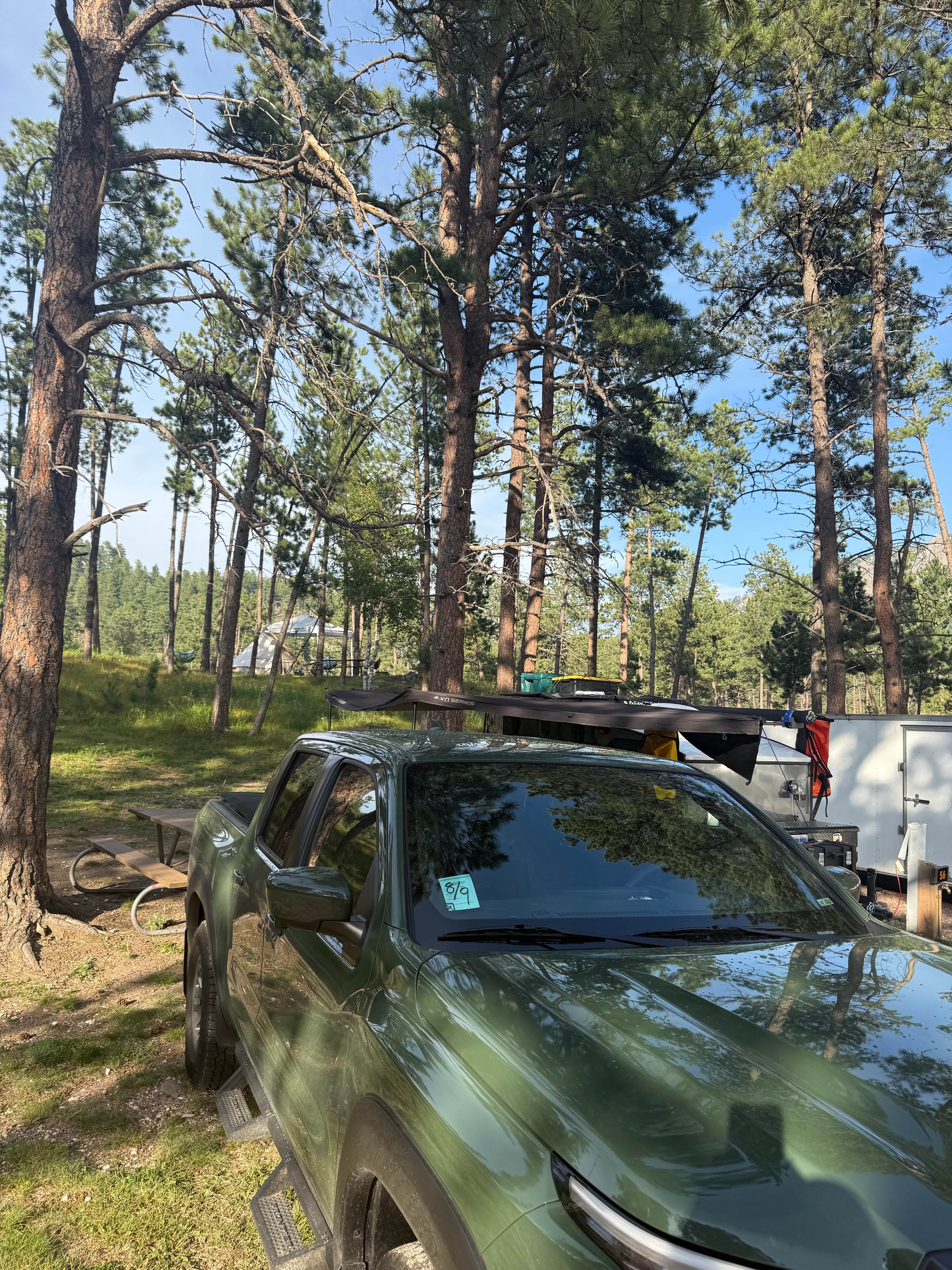 Camper submitted image from Hill city/ Needles HWY KOA - 4