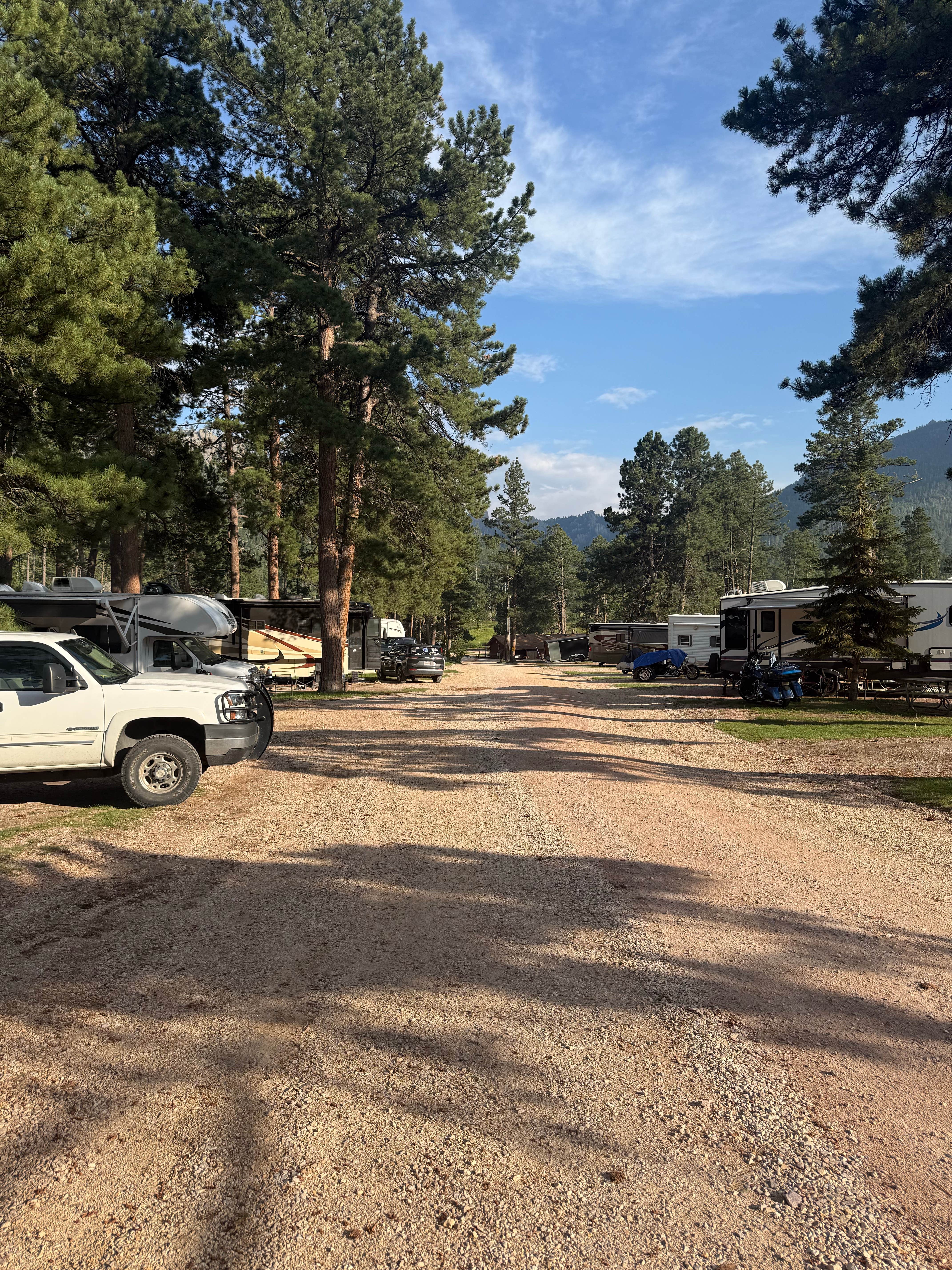 Camper submitted image from Hill city/ Needles HWY KOA - 3