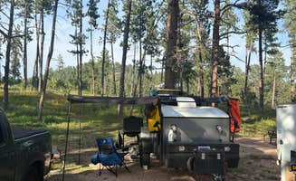 kenneth B.'s photo at Hill city/ Needles HWY KOA in South Dakota