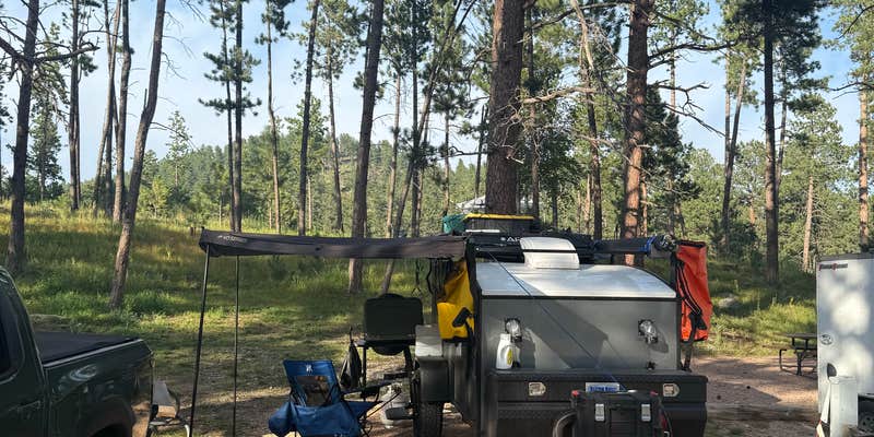 Camper submitted image from Hill city/ Needles HWY KOA