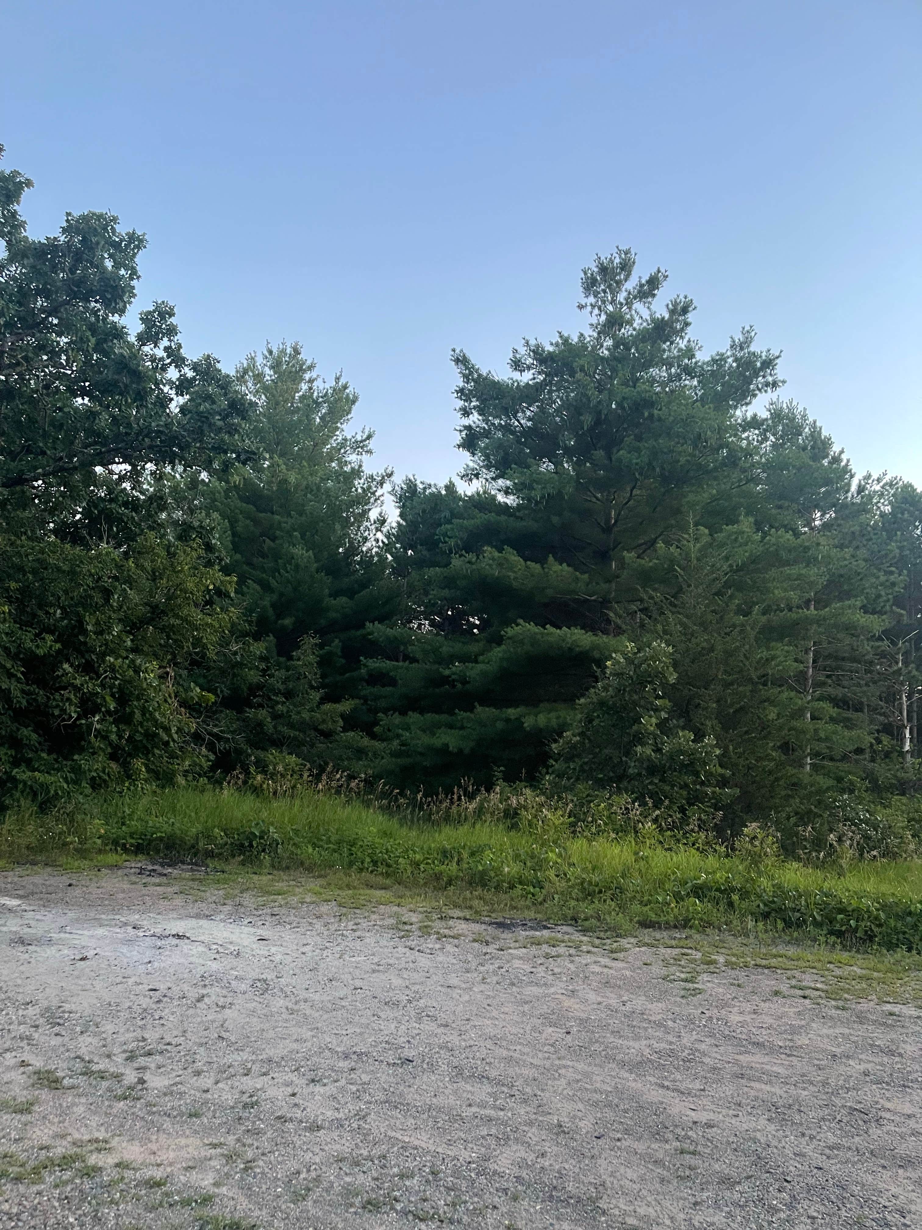 Camper-submitted photo at Hill River State Forest near Mississippi River Headwaters - Sandy Lake