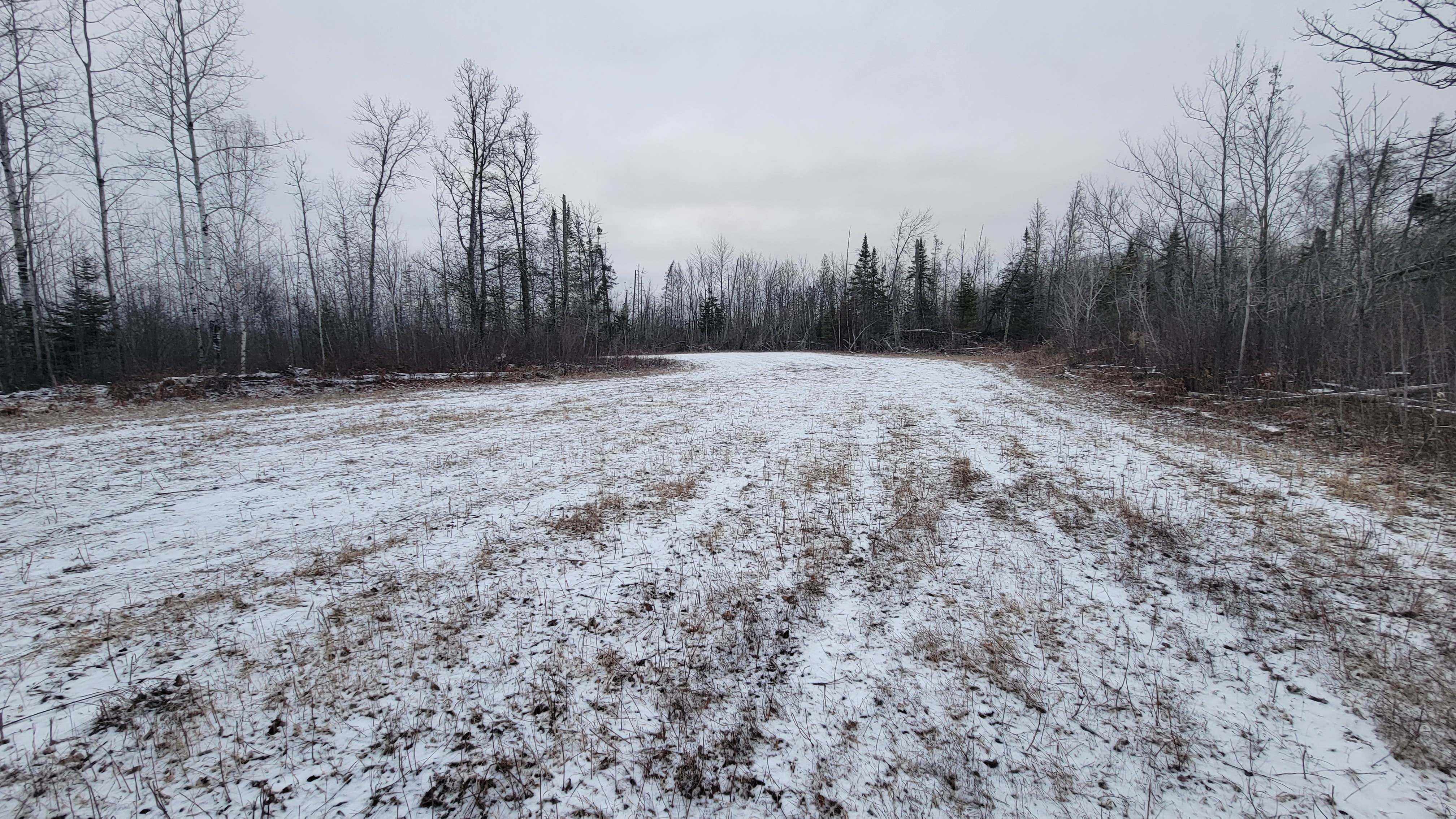 Camper submitted image from Hill River State Forest - 2