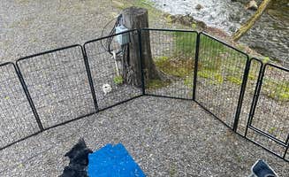 Jason D.'s photo of camping with pets at Hillbilly Campground near Lake Junaluska, NC