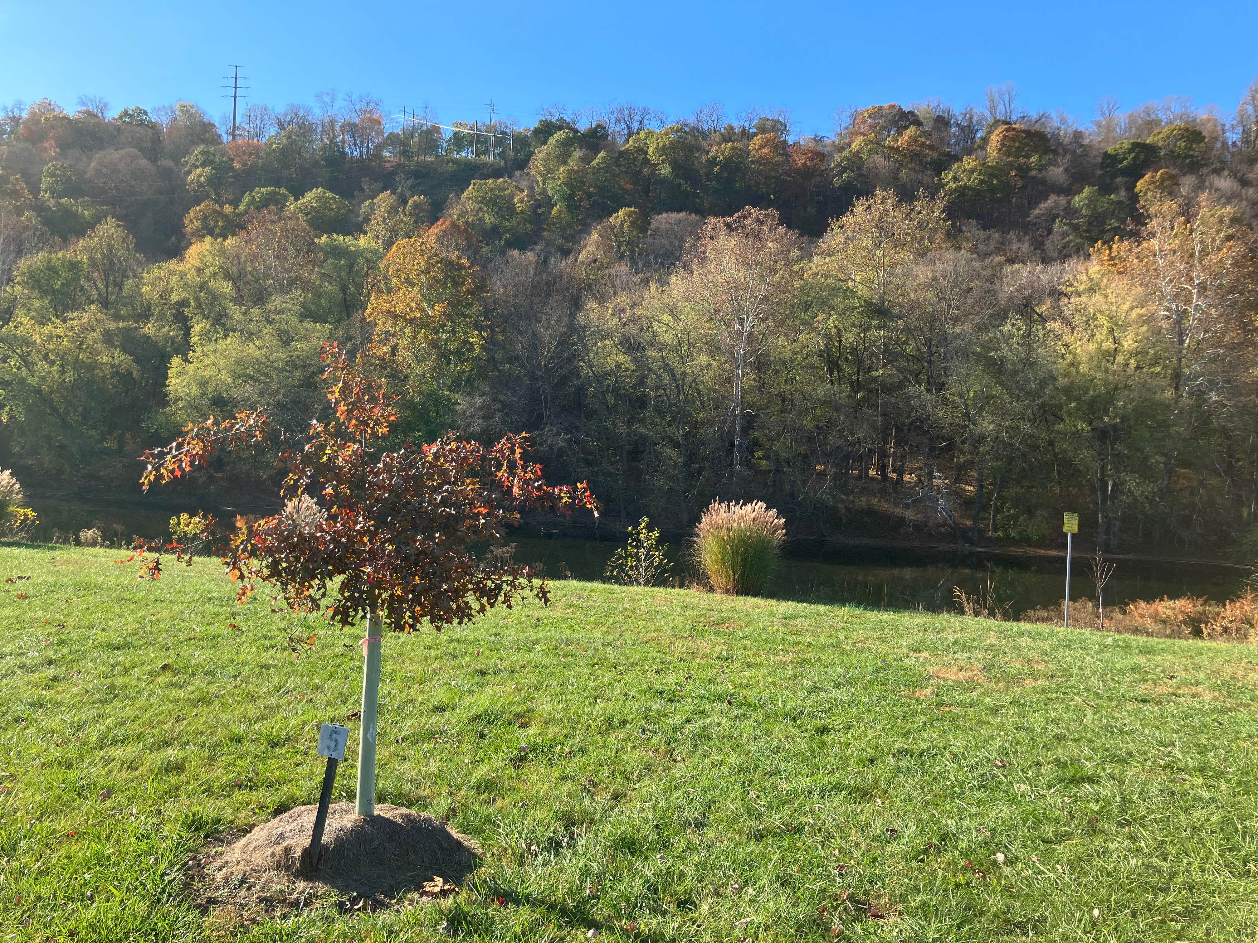 Camper-submitted photo at CUMBERLAND MD. CAMPGROUNDS. 1 & 2 near Cumberland, MD