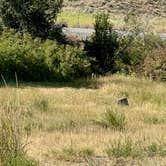 Review photo of Hillside RV Park and Activity Center by Fraun P., August 31, 2026