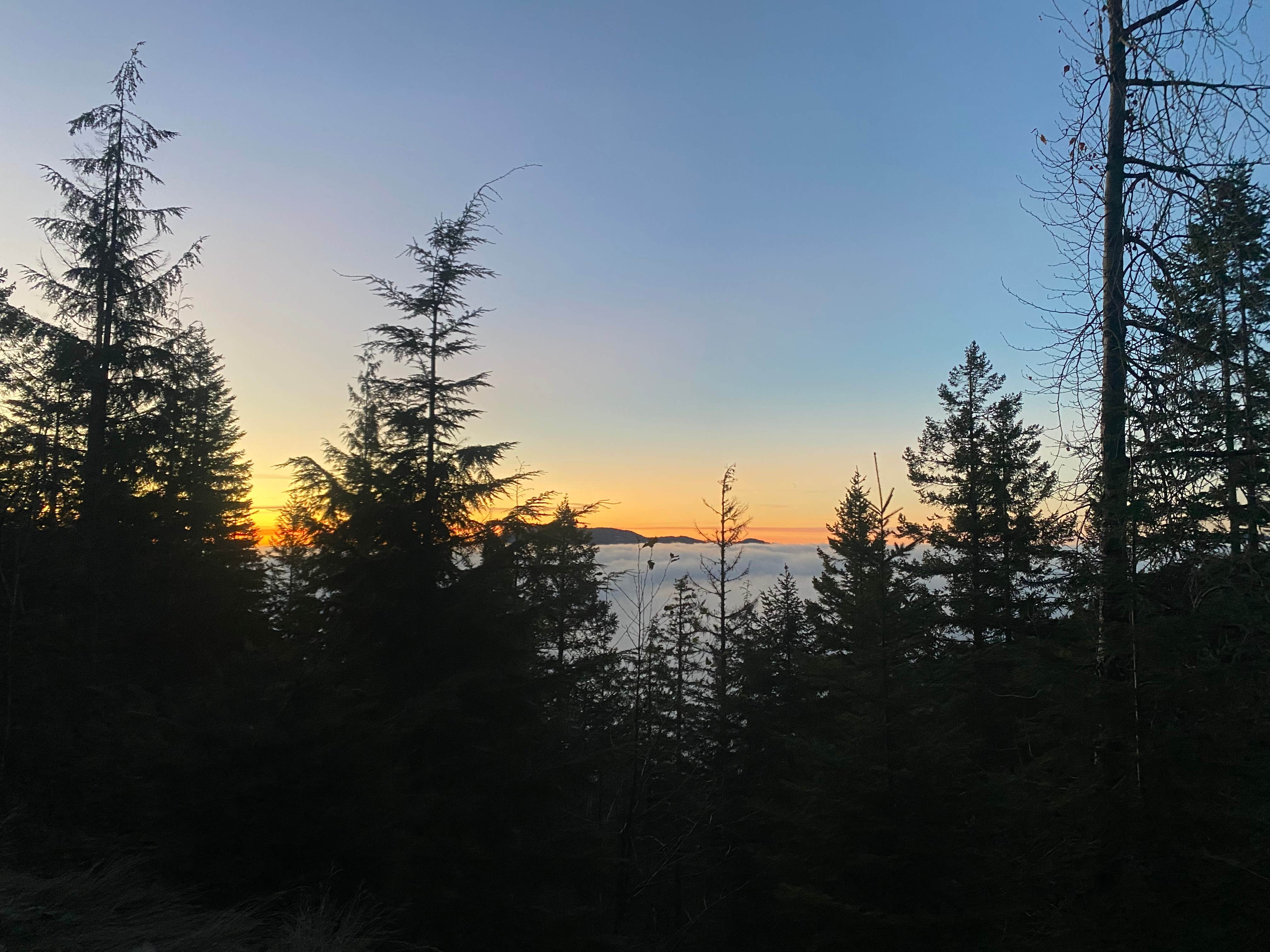 Camper-submitted photo at Hilltop Camp on Forest Road 2419 near Bremerton, WA