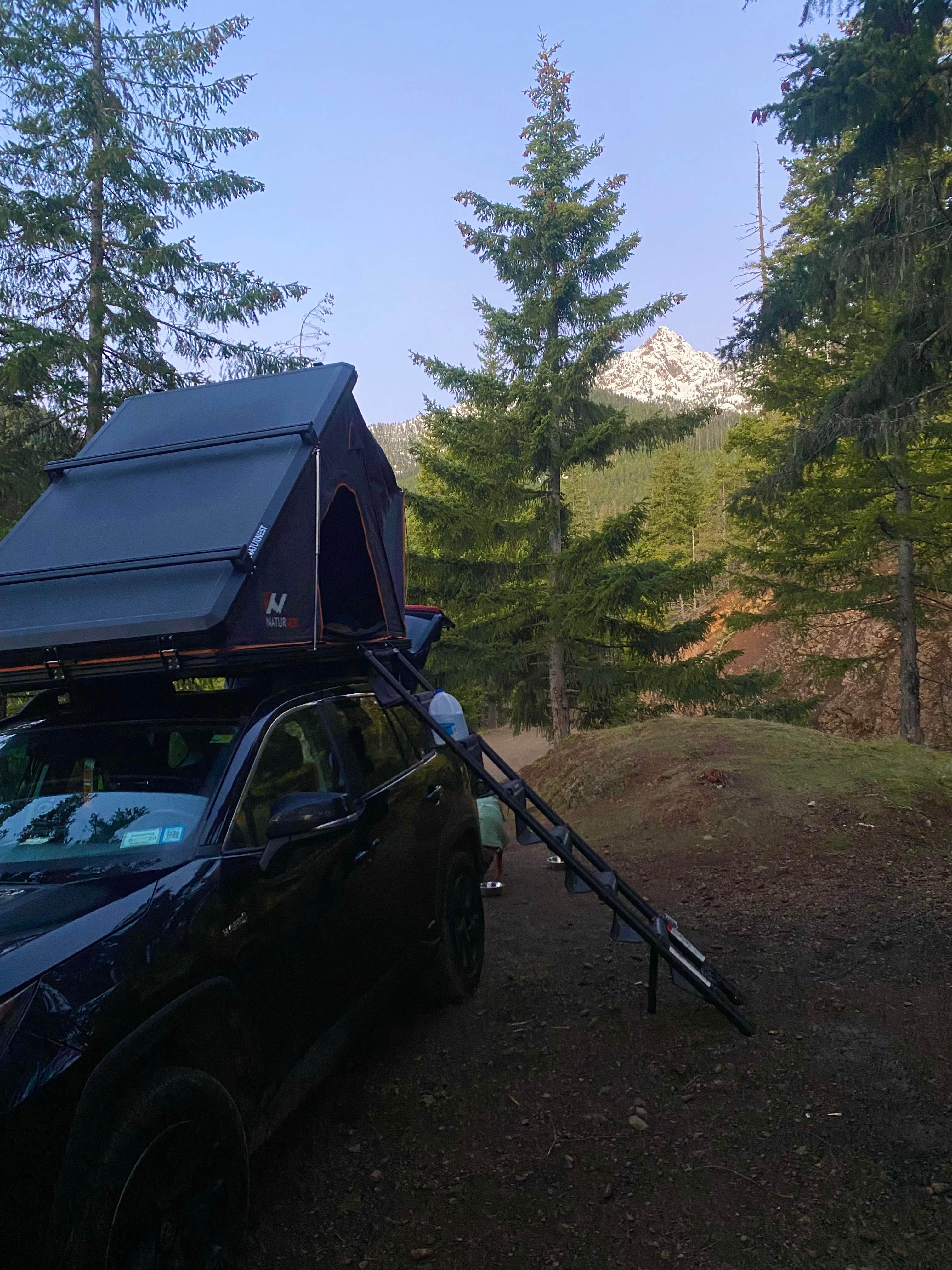 Hilltop Camp on Forest Road 2419