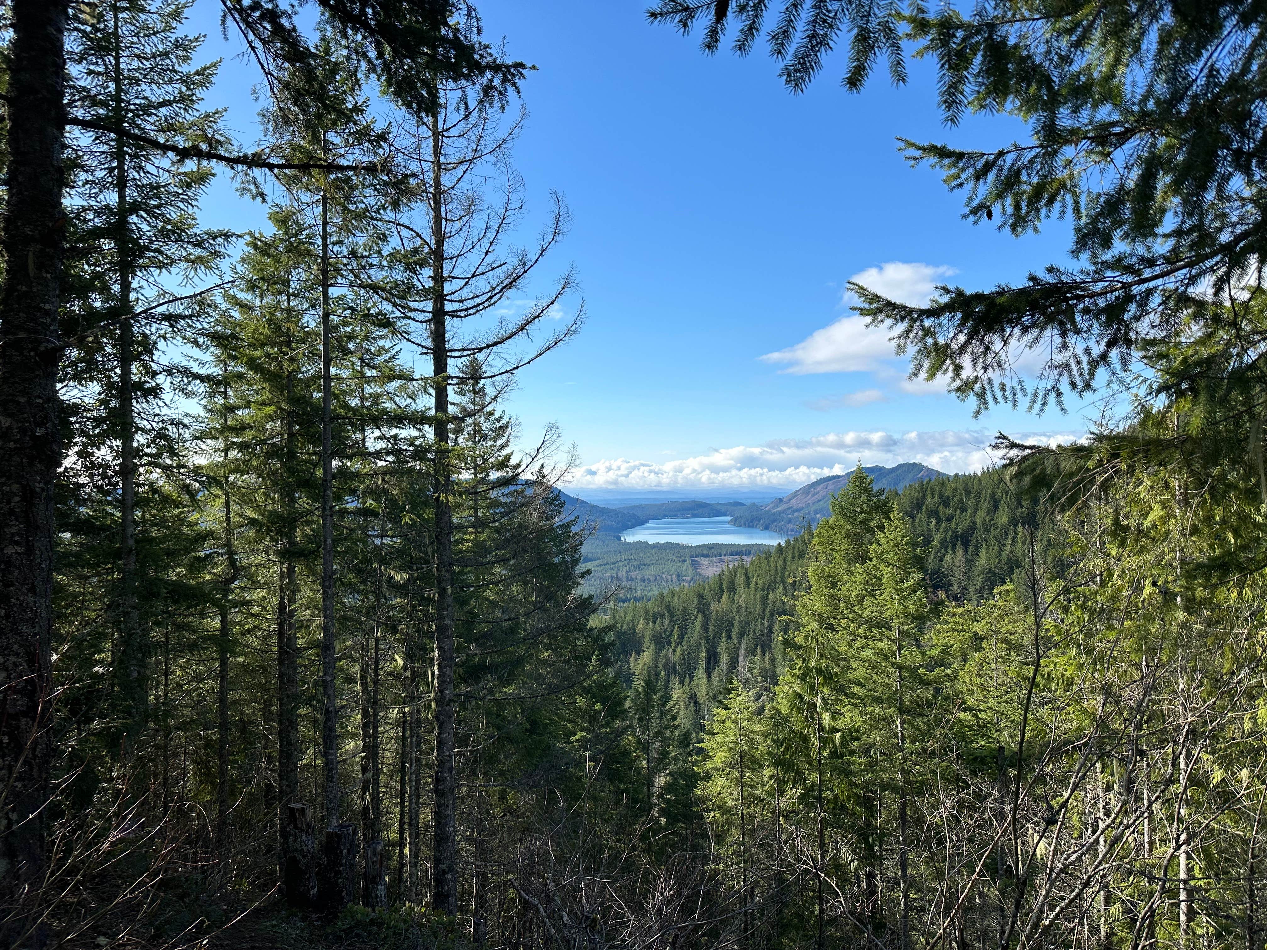 Camper-submitted photo at Hilltop Camp on Forest Road 2419 near Bremerton, WA