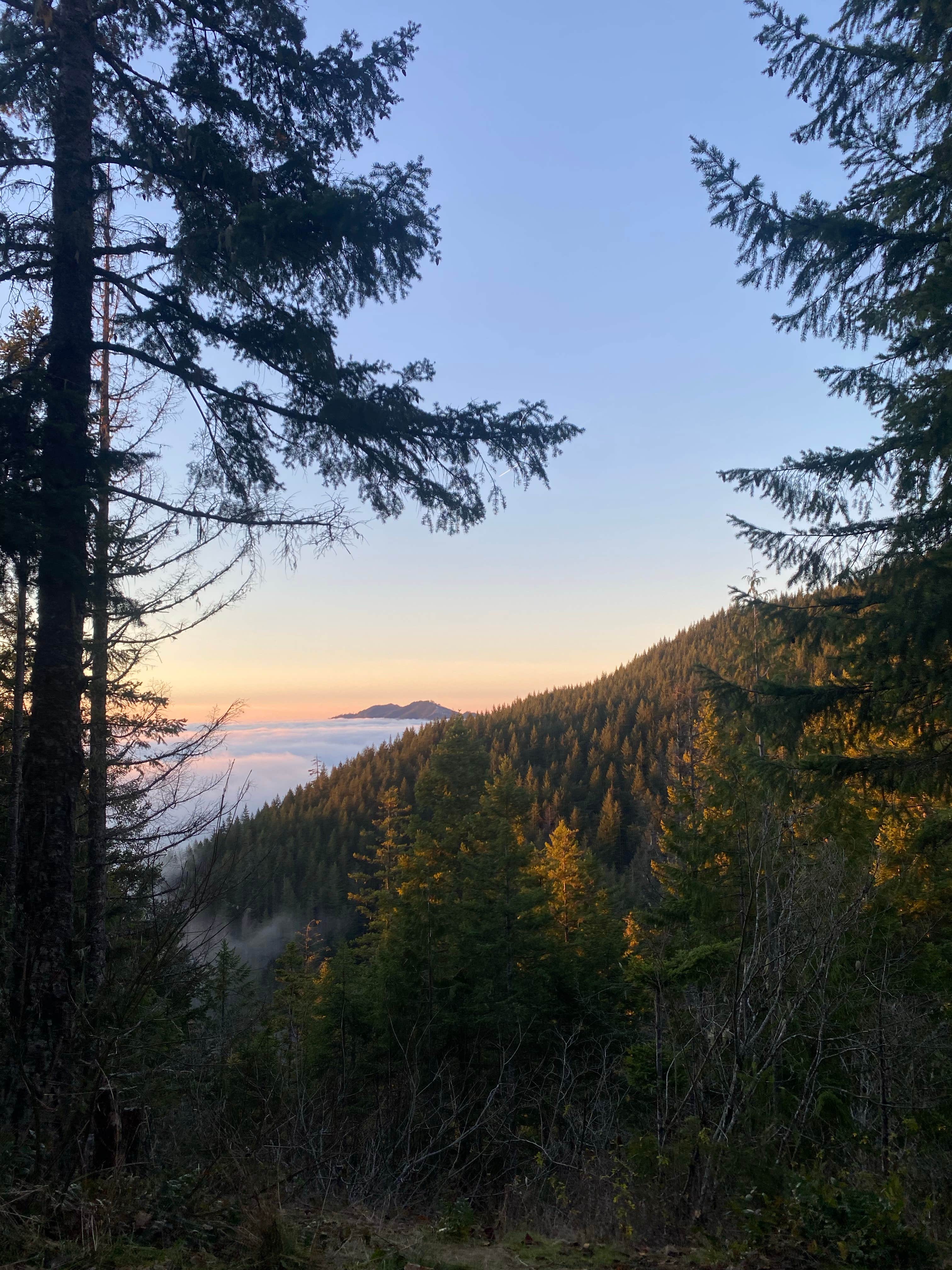 Camper-submitted photo at Hilltop Camp on Forest Road 2419 near Bremerton, WA