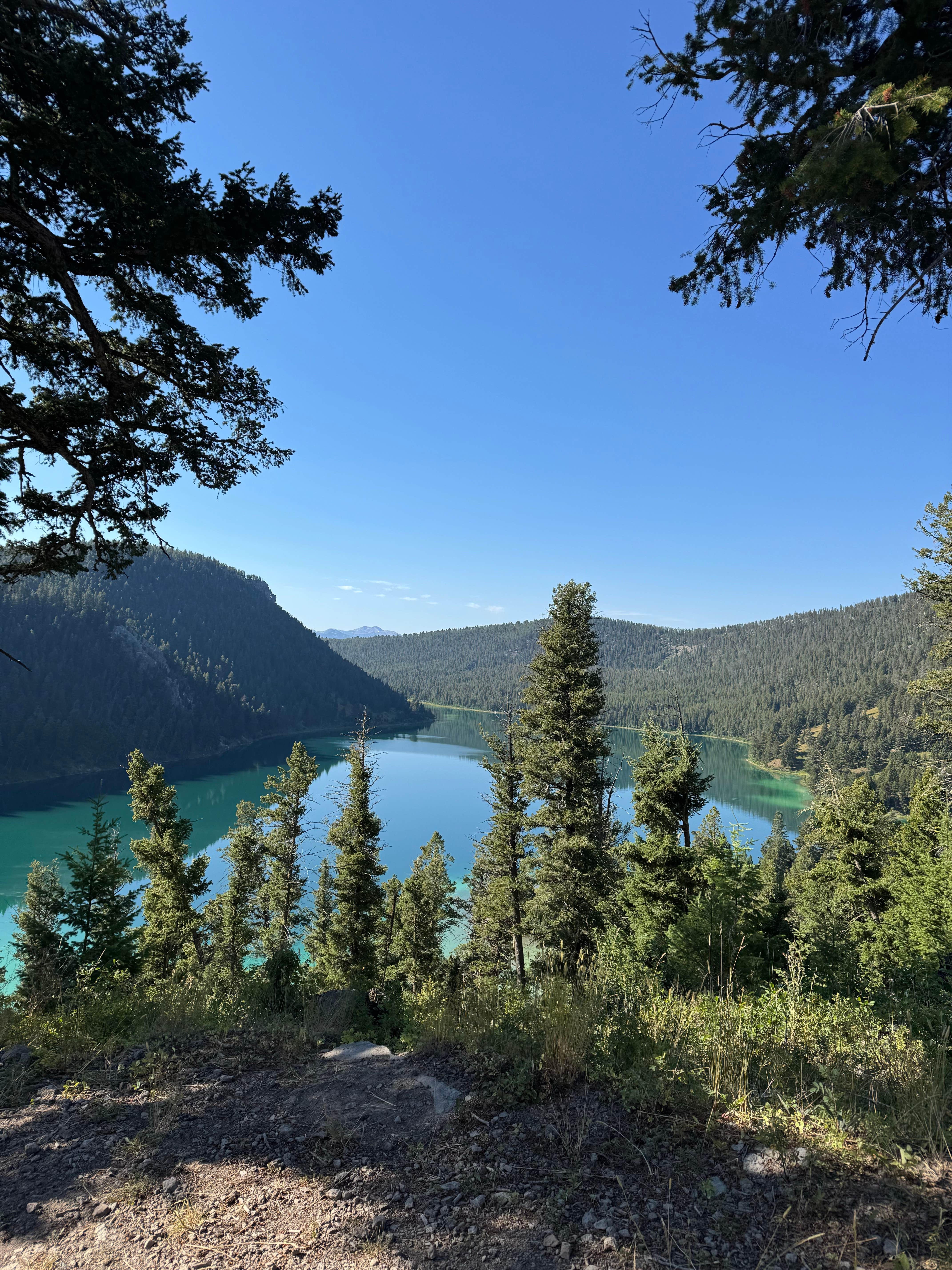 Camper submitted image from Hilltop Campground (Mt) — Beaverhead Deerlodge National Forest - 2