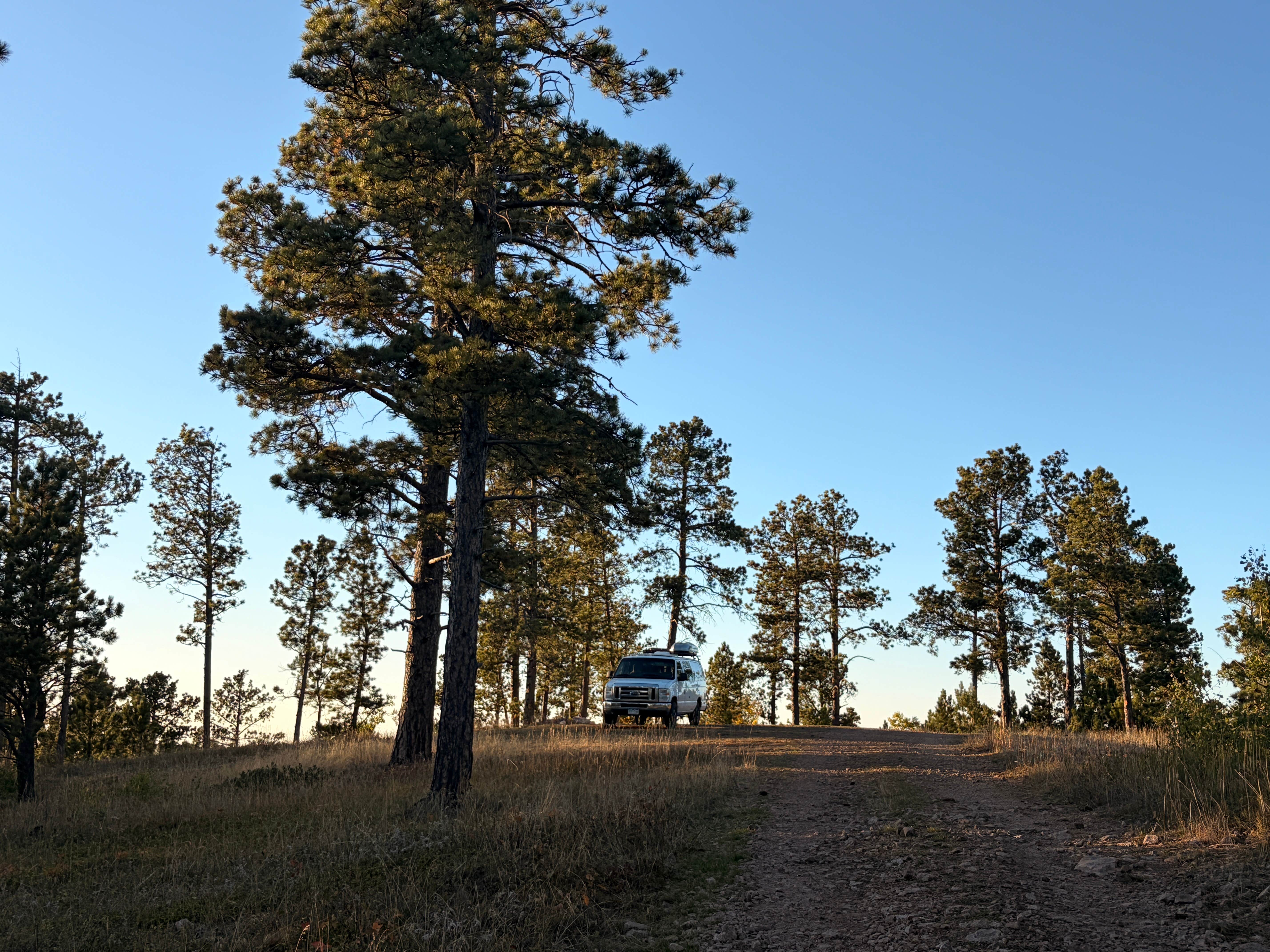 Hilltop near Devils Tower