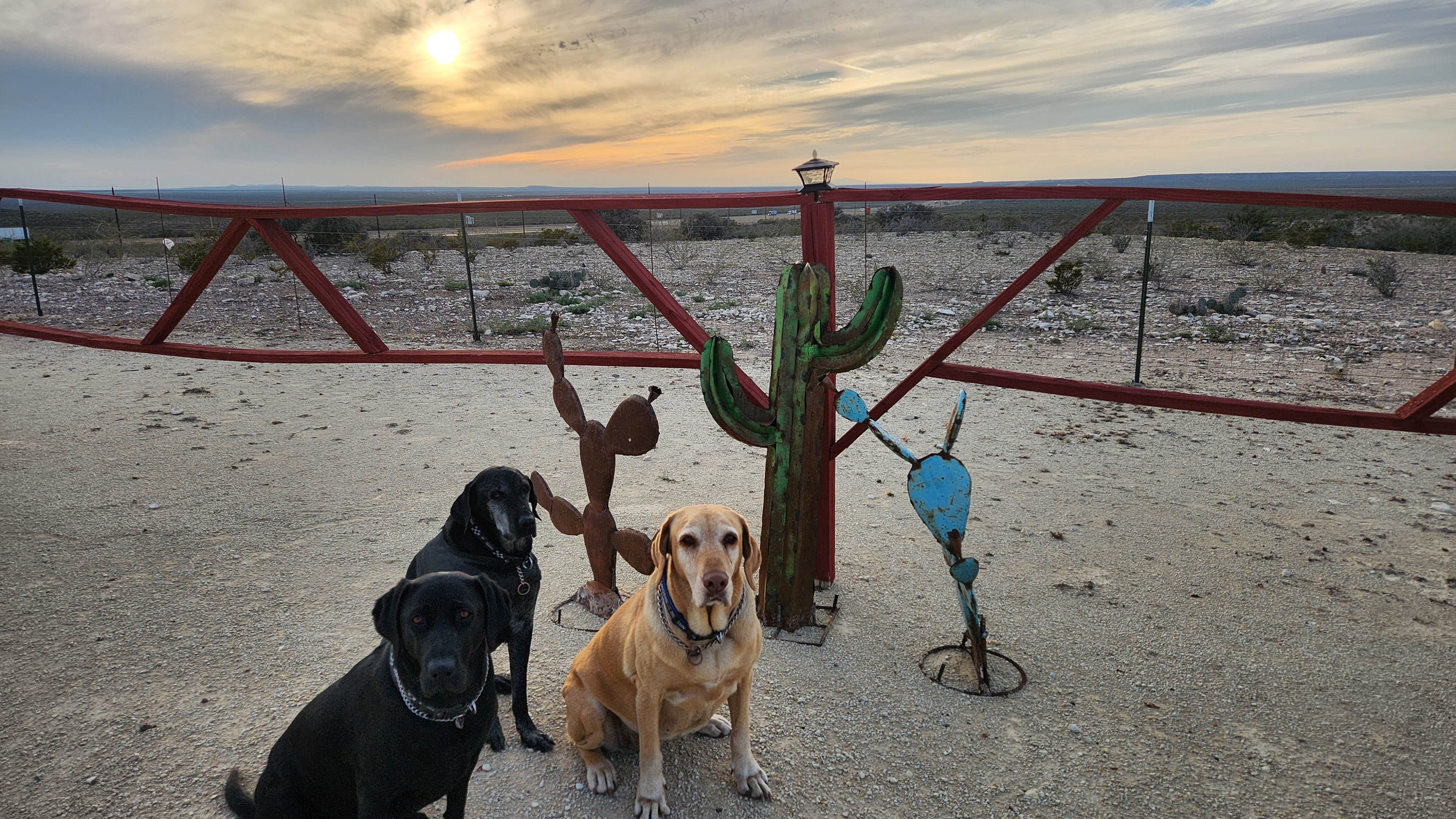 Jesse V.'s photo of camping with pets at Hilltop RV Park near Balmorhea, TX