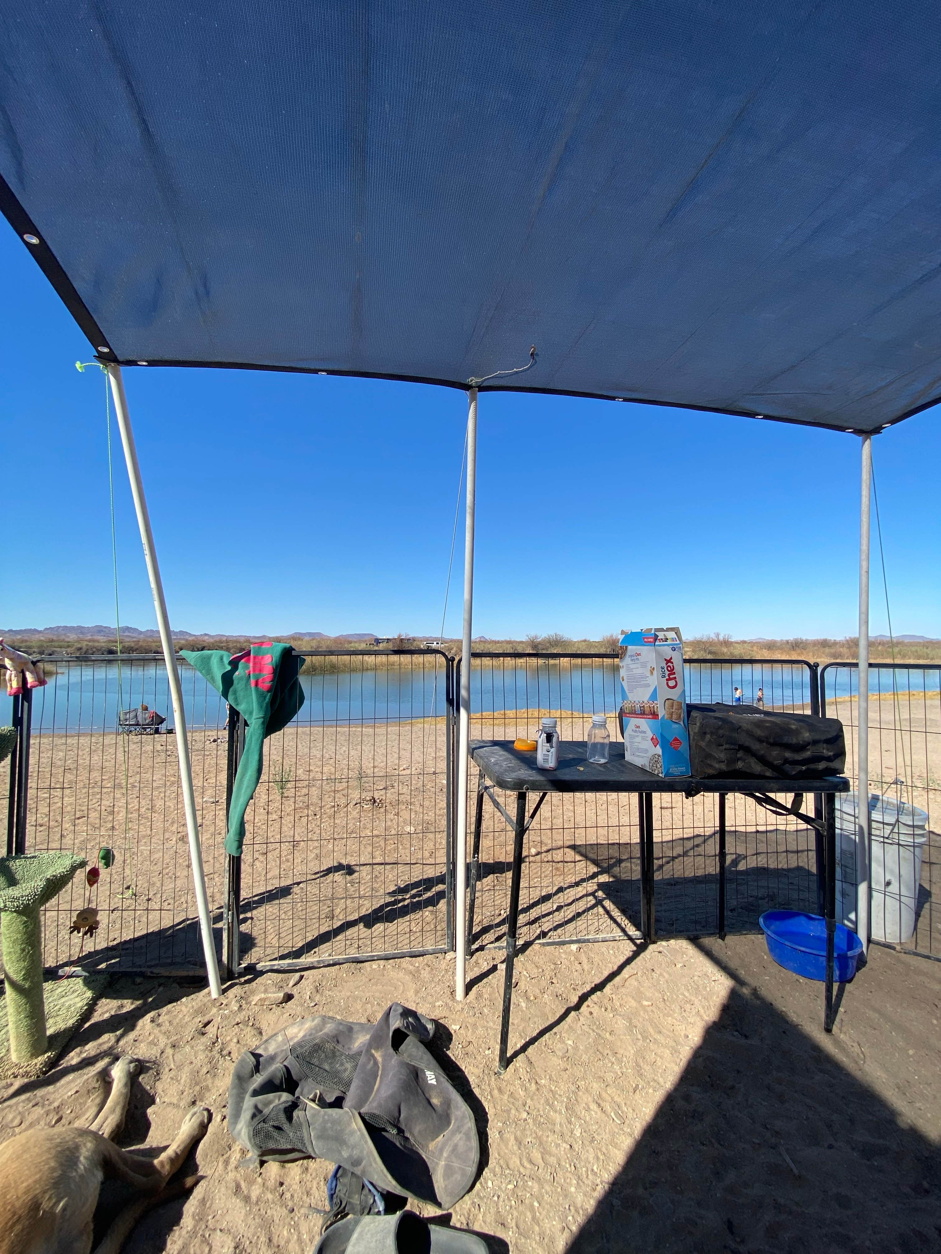 Imerie T.'s photo of camping with pets at Hippie Hole Camping Area near Cibola, AZ