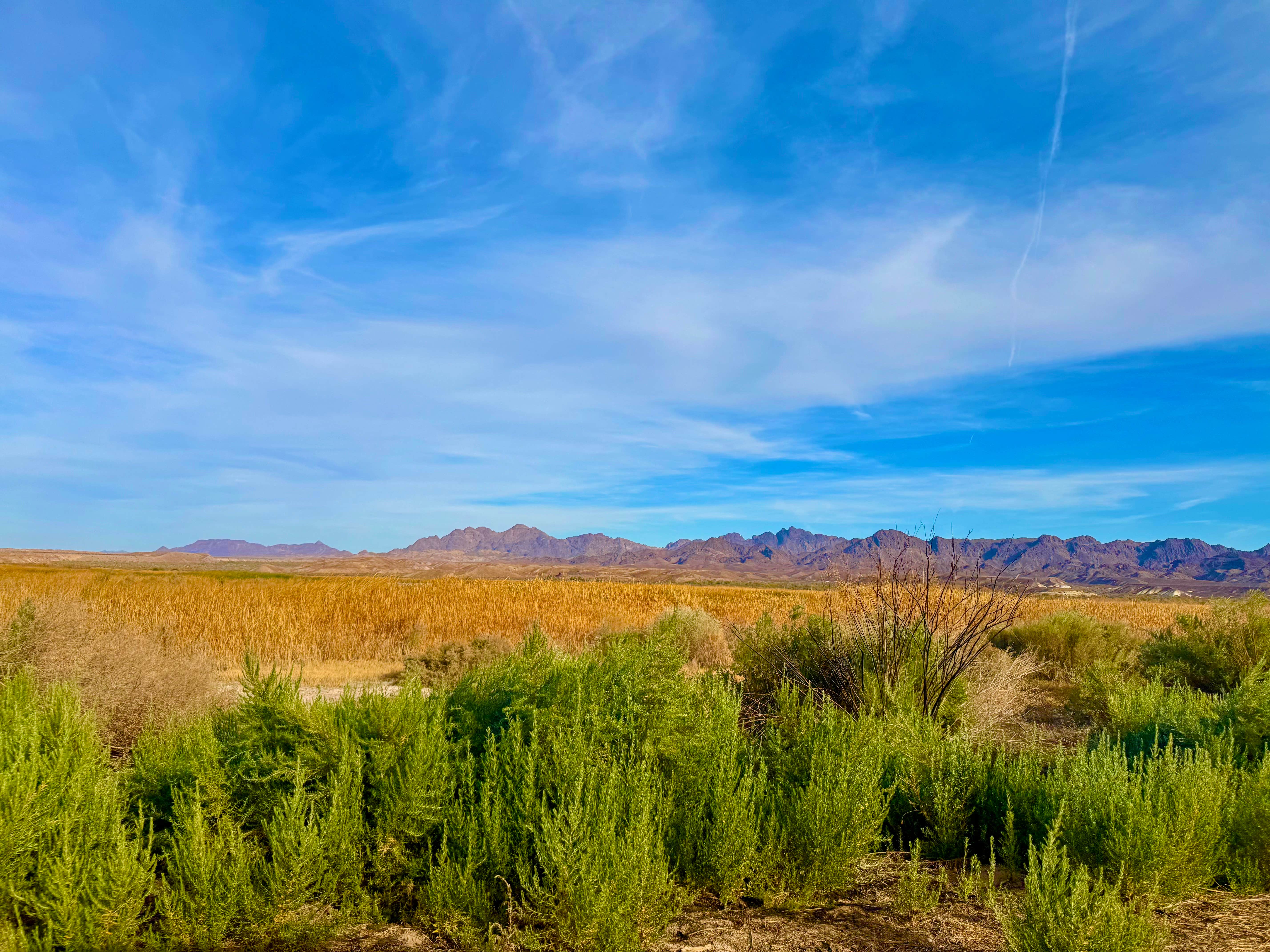 Camper-submitted photo at Hippie Hole Camping Area near Blythe, CA