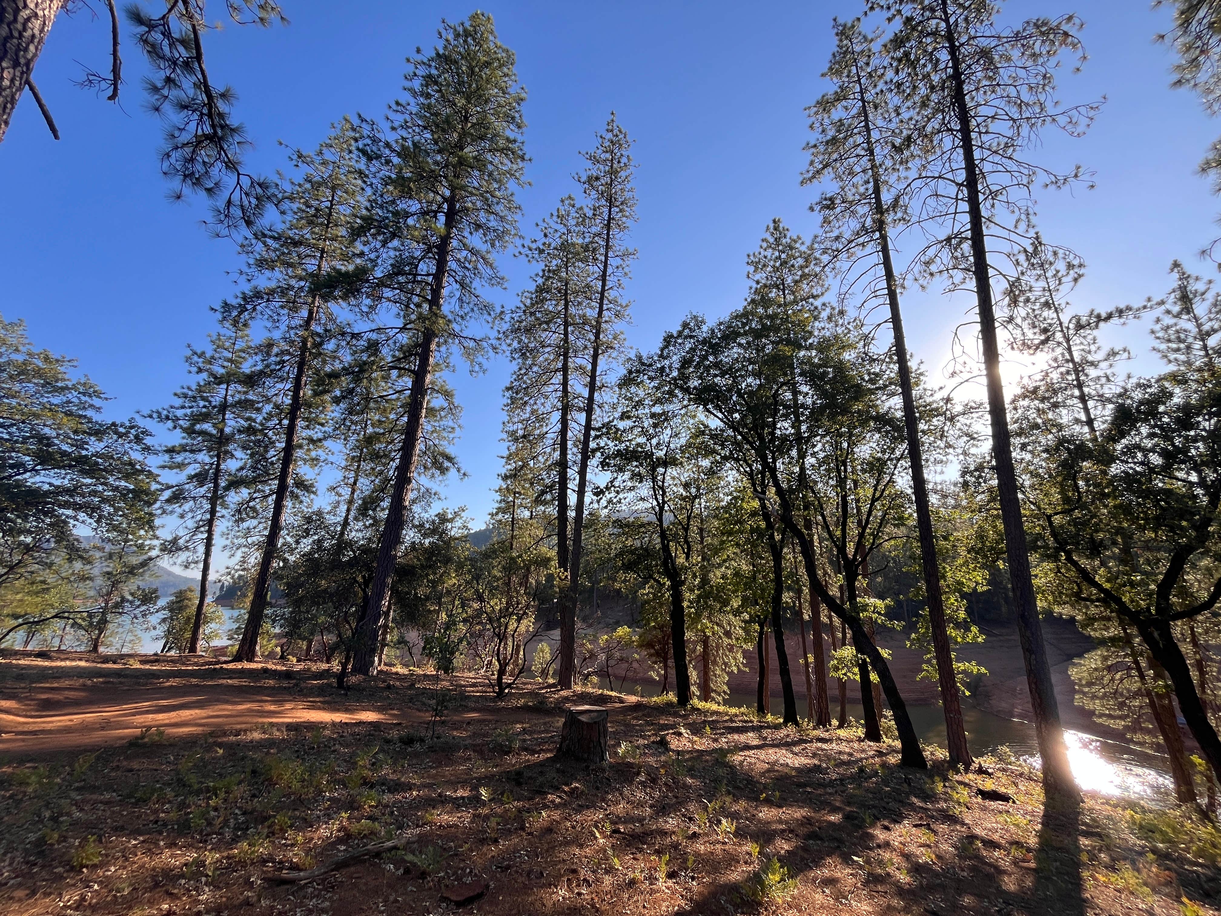 Camper-submitted photo at Hirz Bay Campground near Lakehead, CA