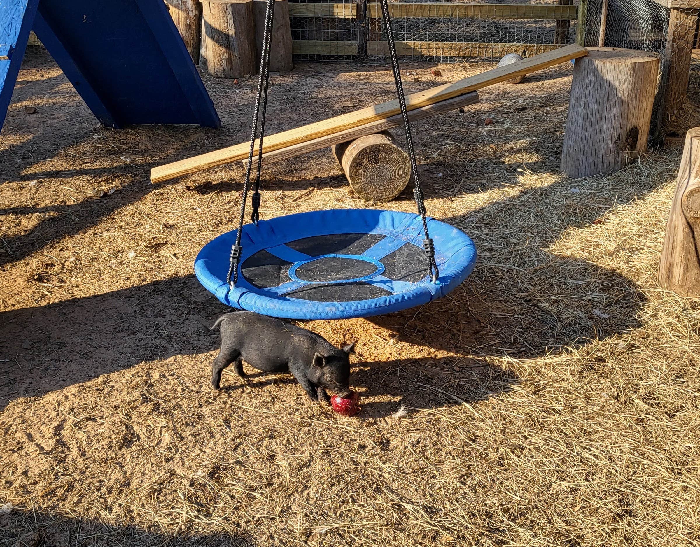 Camper submitted image from Hitchinpost RV Park and Campground - 3