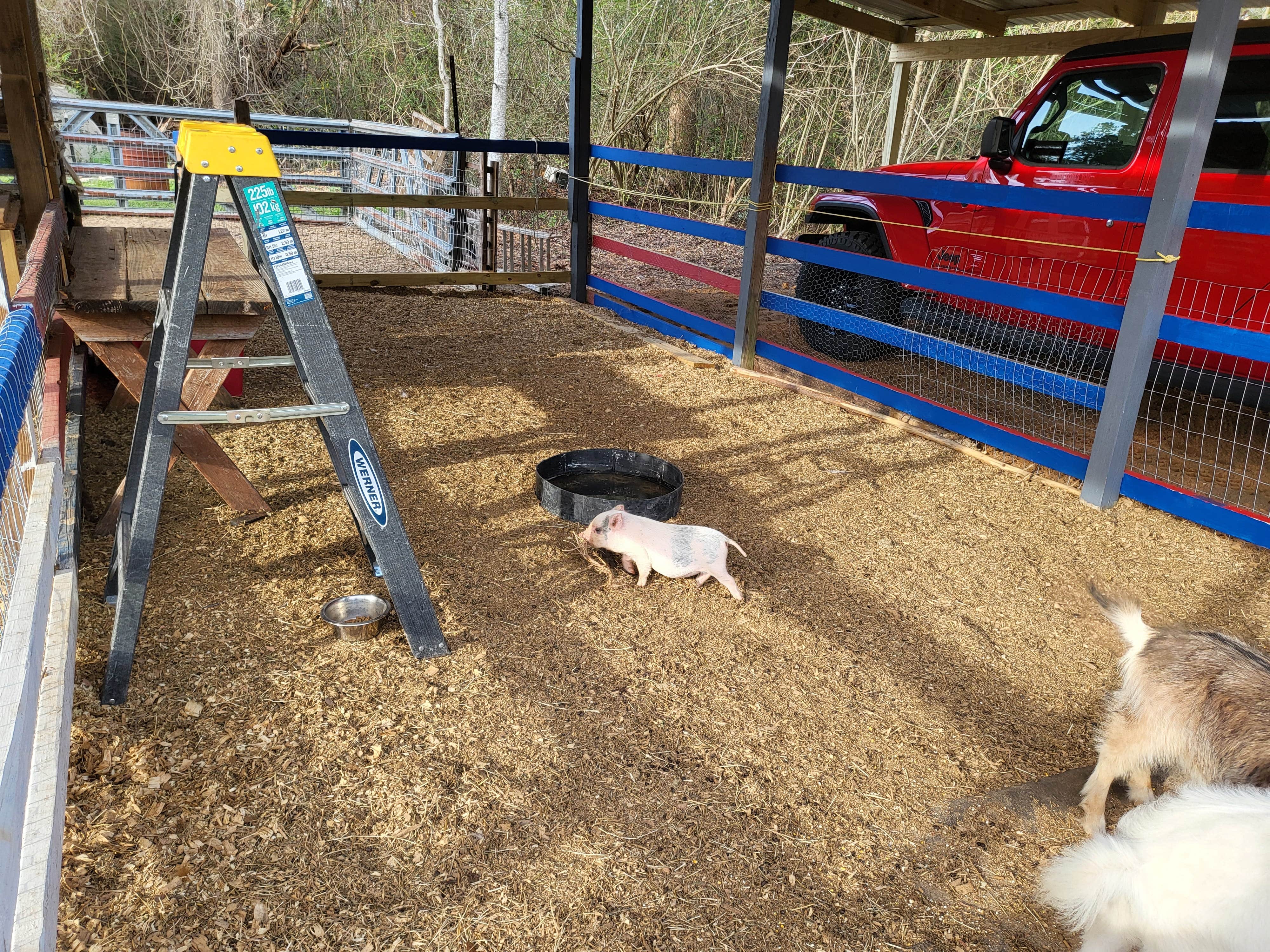 Fay's photo of camping with pets at Hitchinpost RV Park and Campground near Cottondale, AL