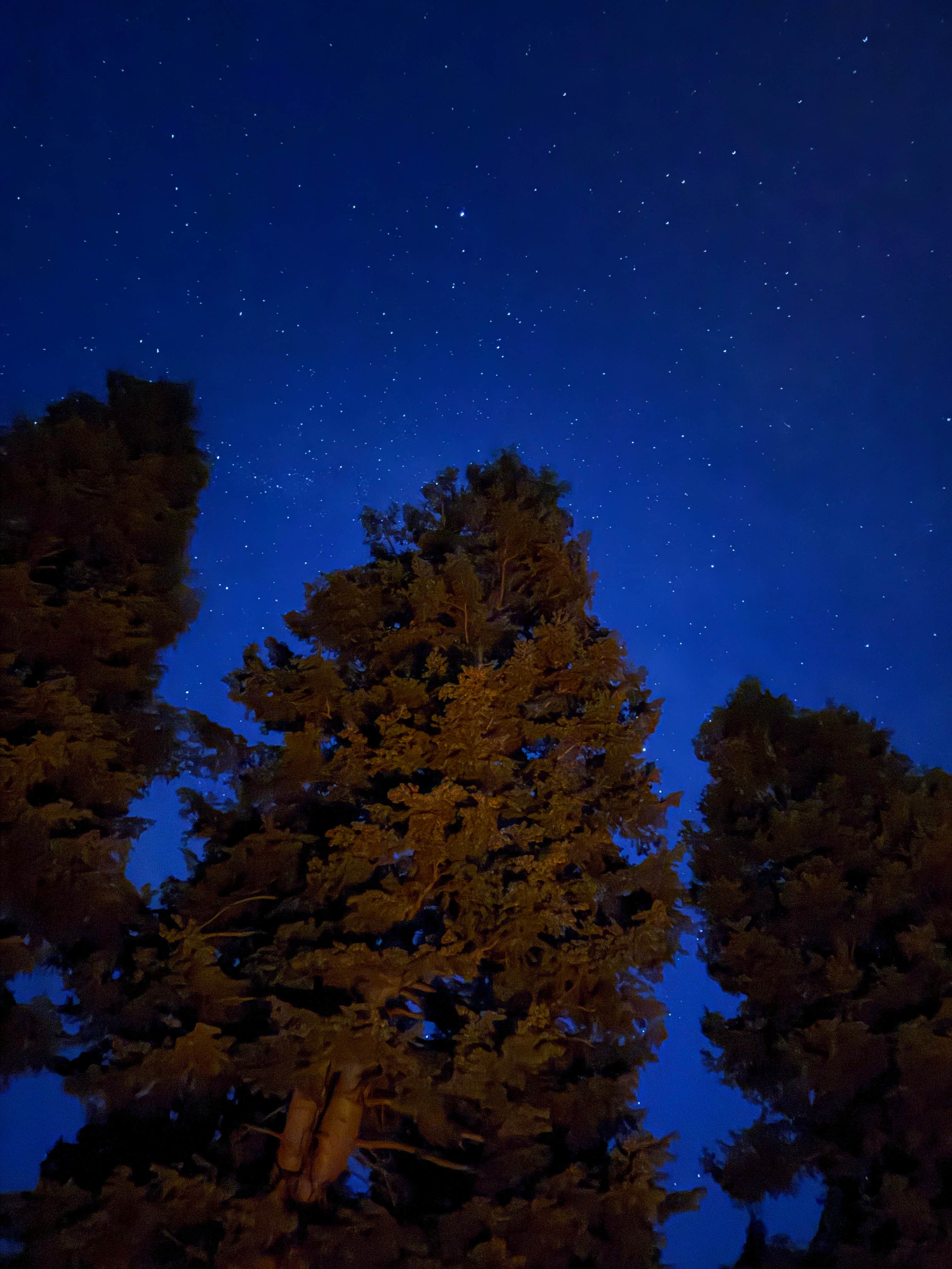 Camper-submitted photo at Hobble Right Fork Dispersed near Payson, UT